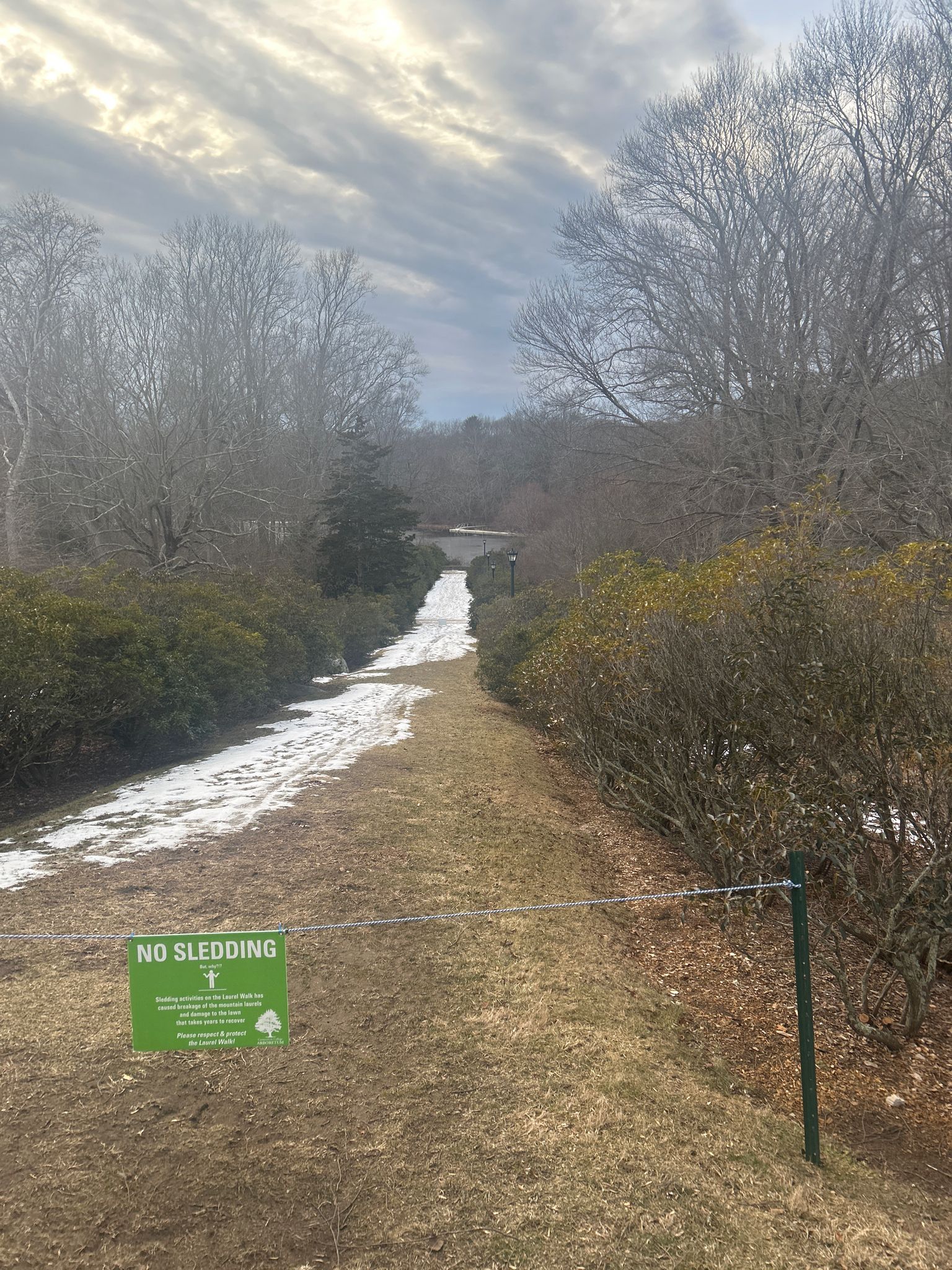 Grassy slope with snow patches, bare trees, and a "No Sledding" sign. - Laurel Walk