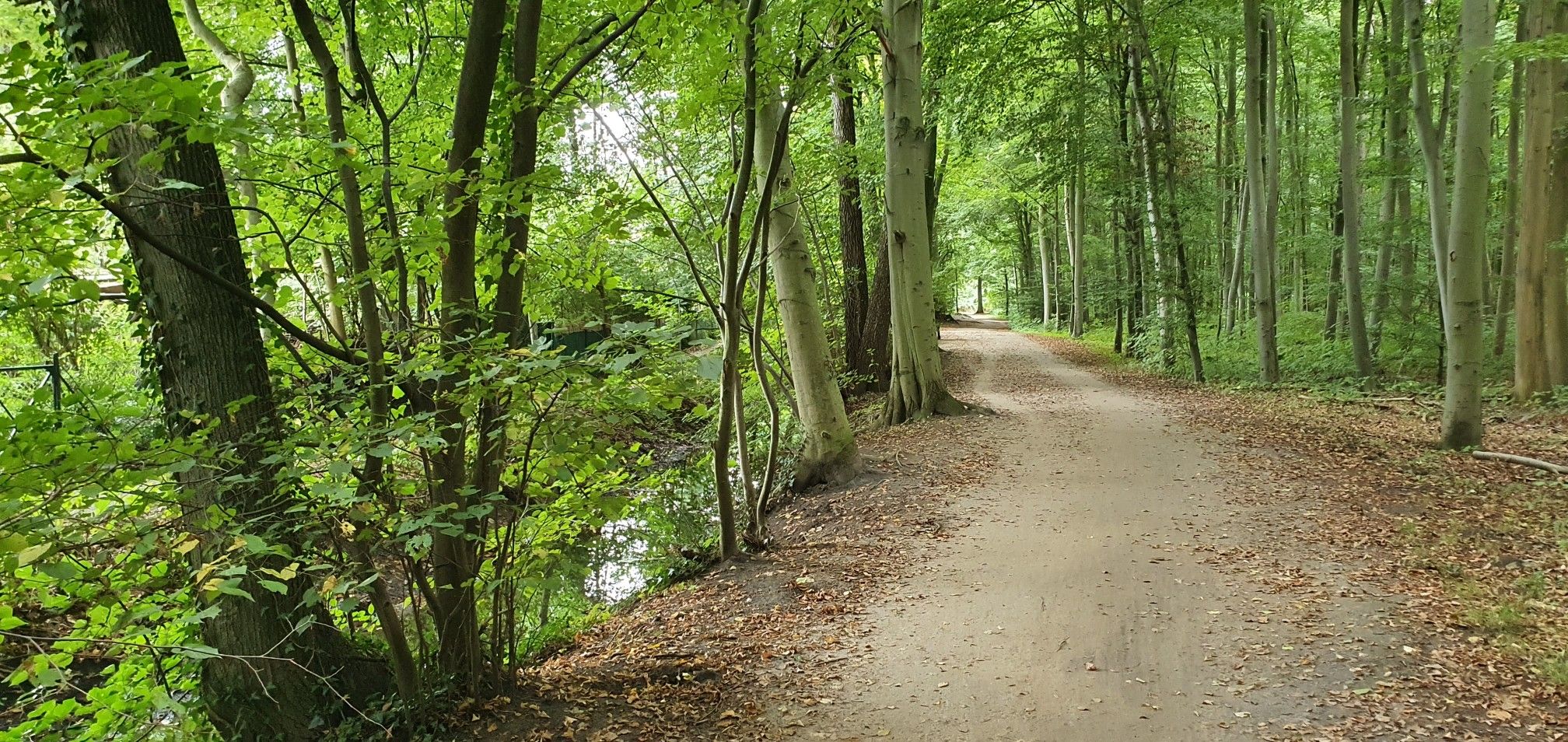 Schöner Weg entlang des Landwehrgrabens