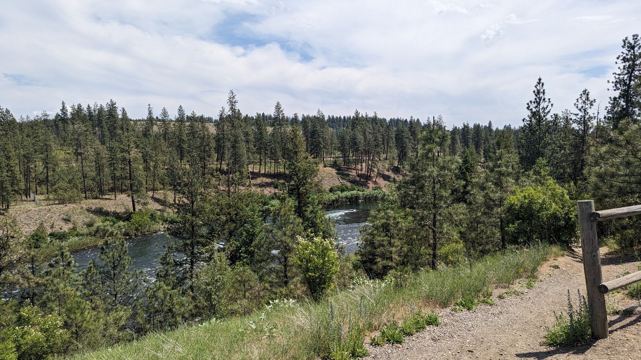 A wide river flows through a dense pine forest under a cloudy sky. - Bowl and Pitcher Overlook loop from Shadle Park High School