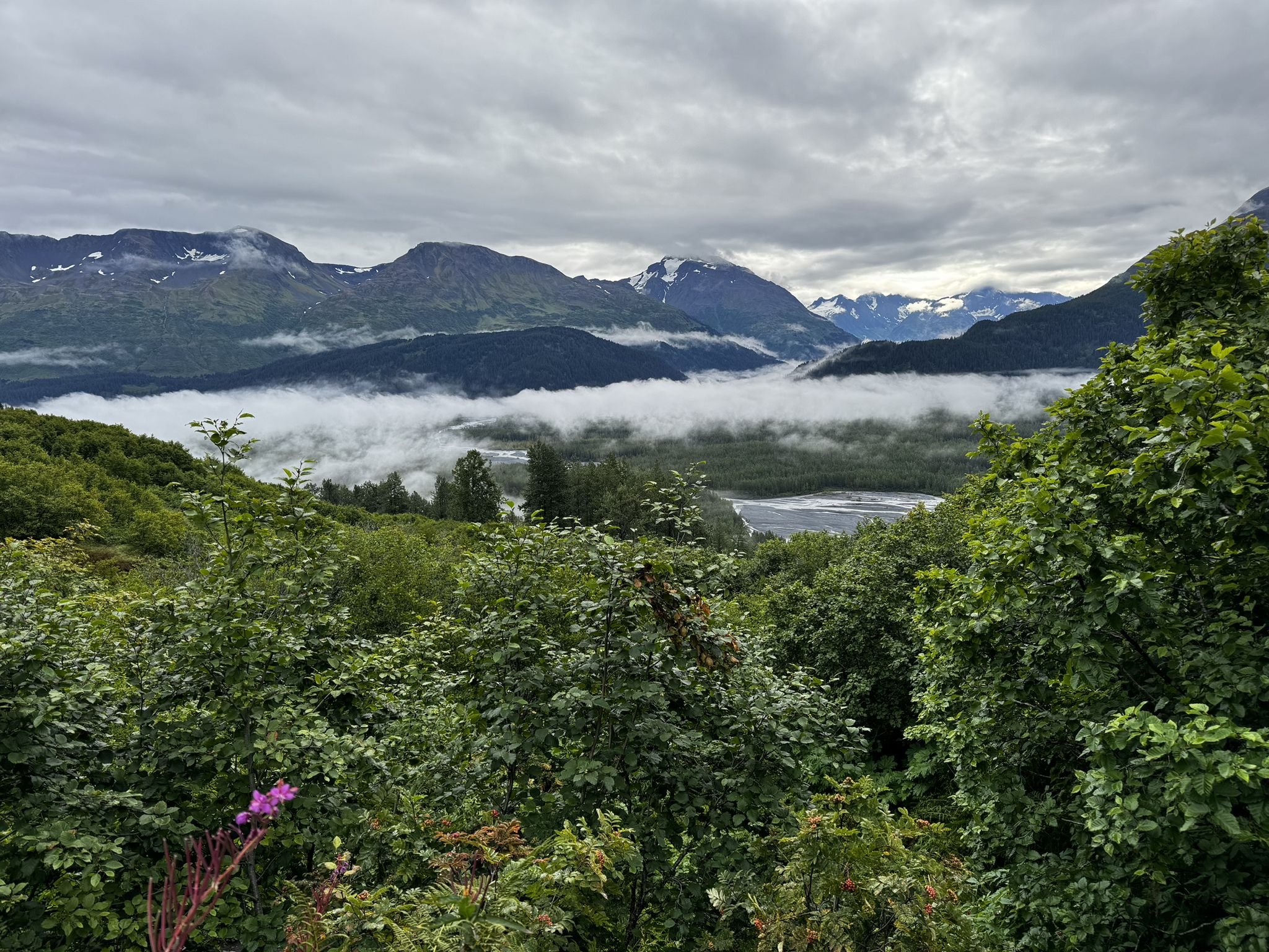 A mountain valley filled with low-lying clouds and dense green trees. - Glacier View Loop Trail