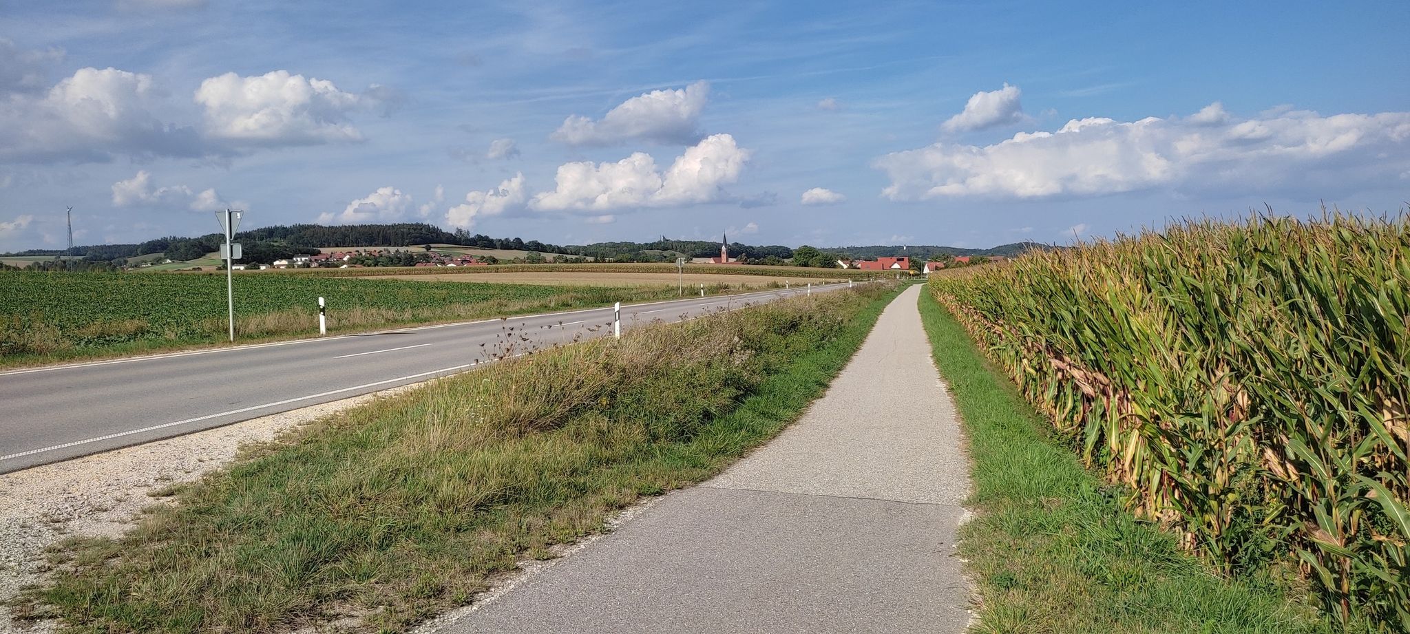 Radweg zw. Essenbach u. Unterwattenbach