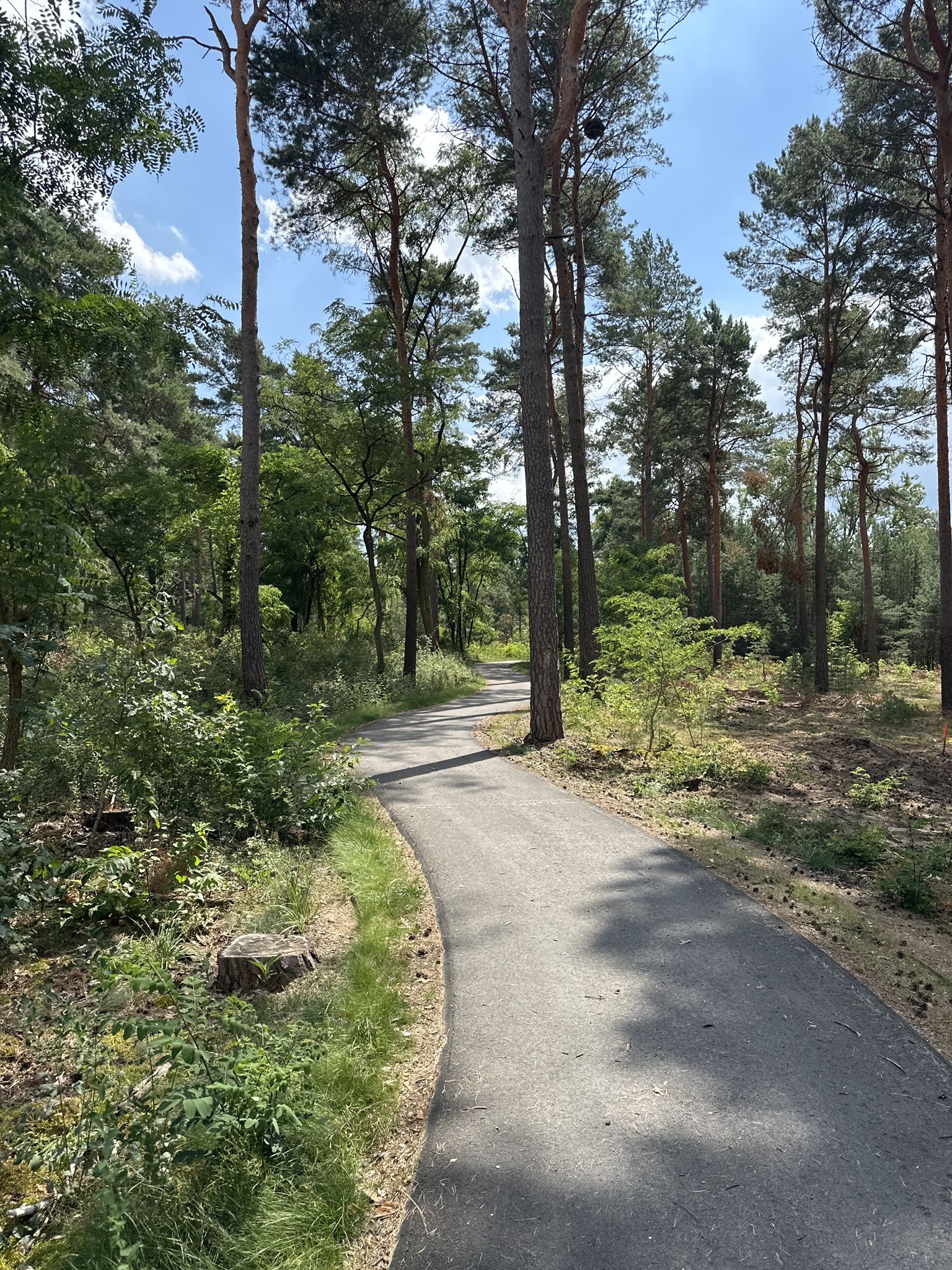 Radweg Tropical Island - Krausnick