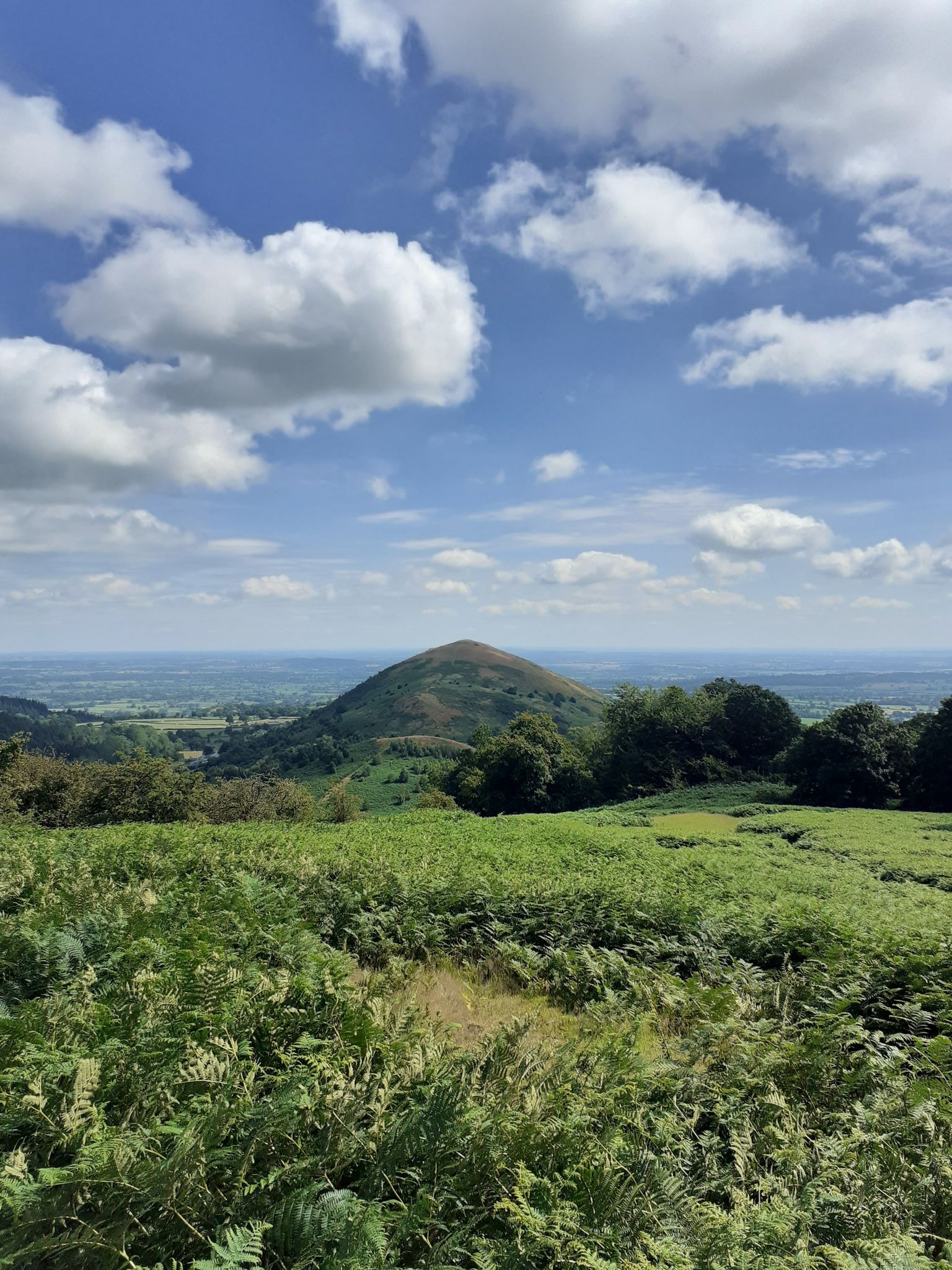 Middletown Hill