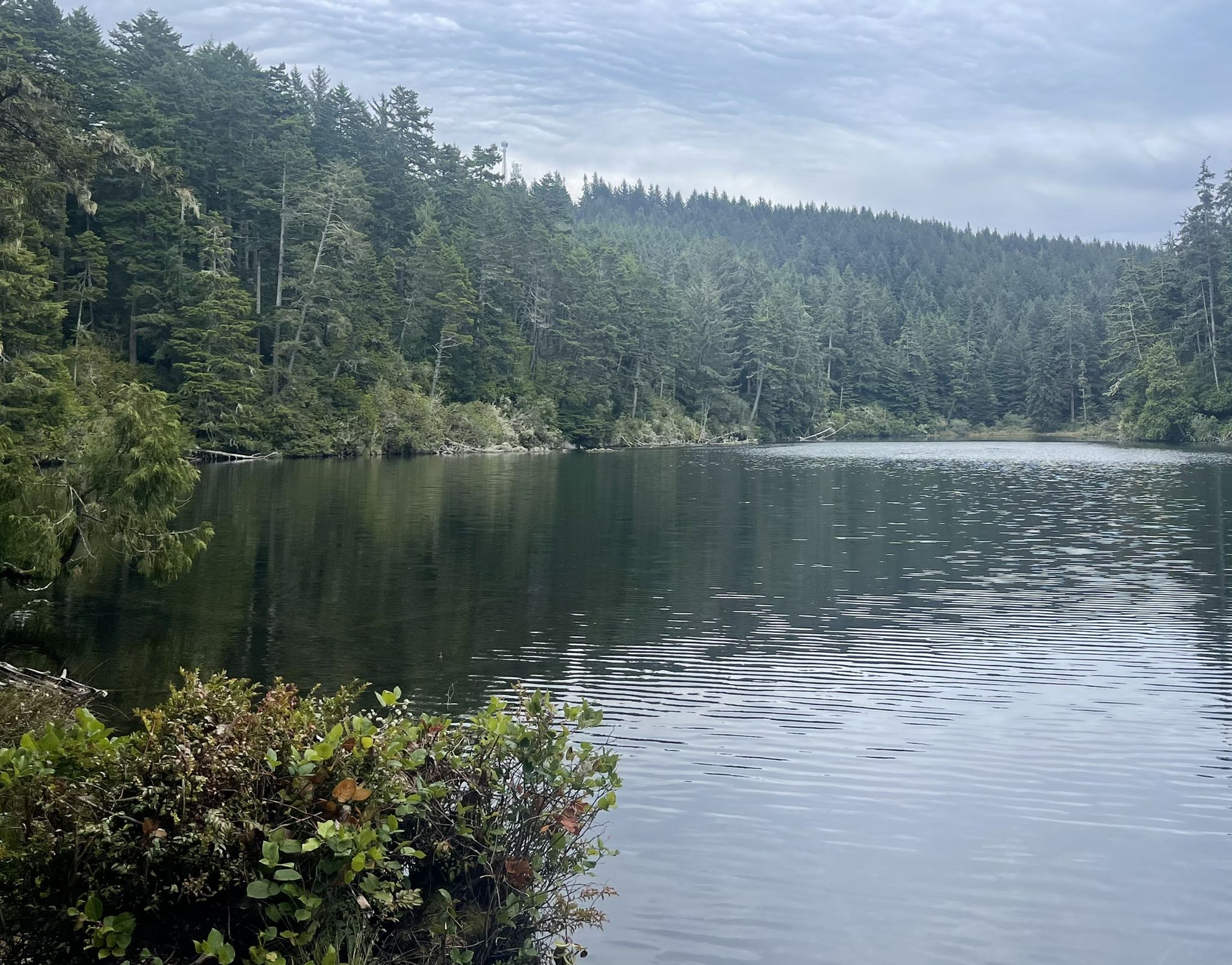 Overcast view of a calm lake reflecting dense evergreen forest under a cloudy sky. - Lake Marie Trail