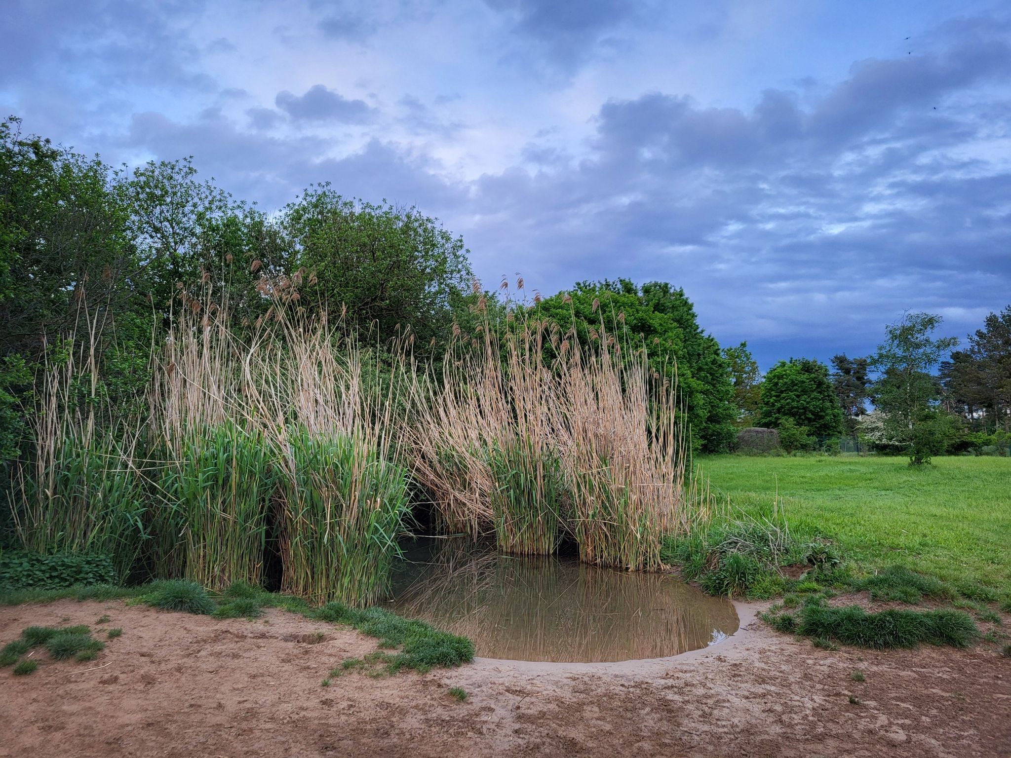 Wasserloch