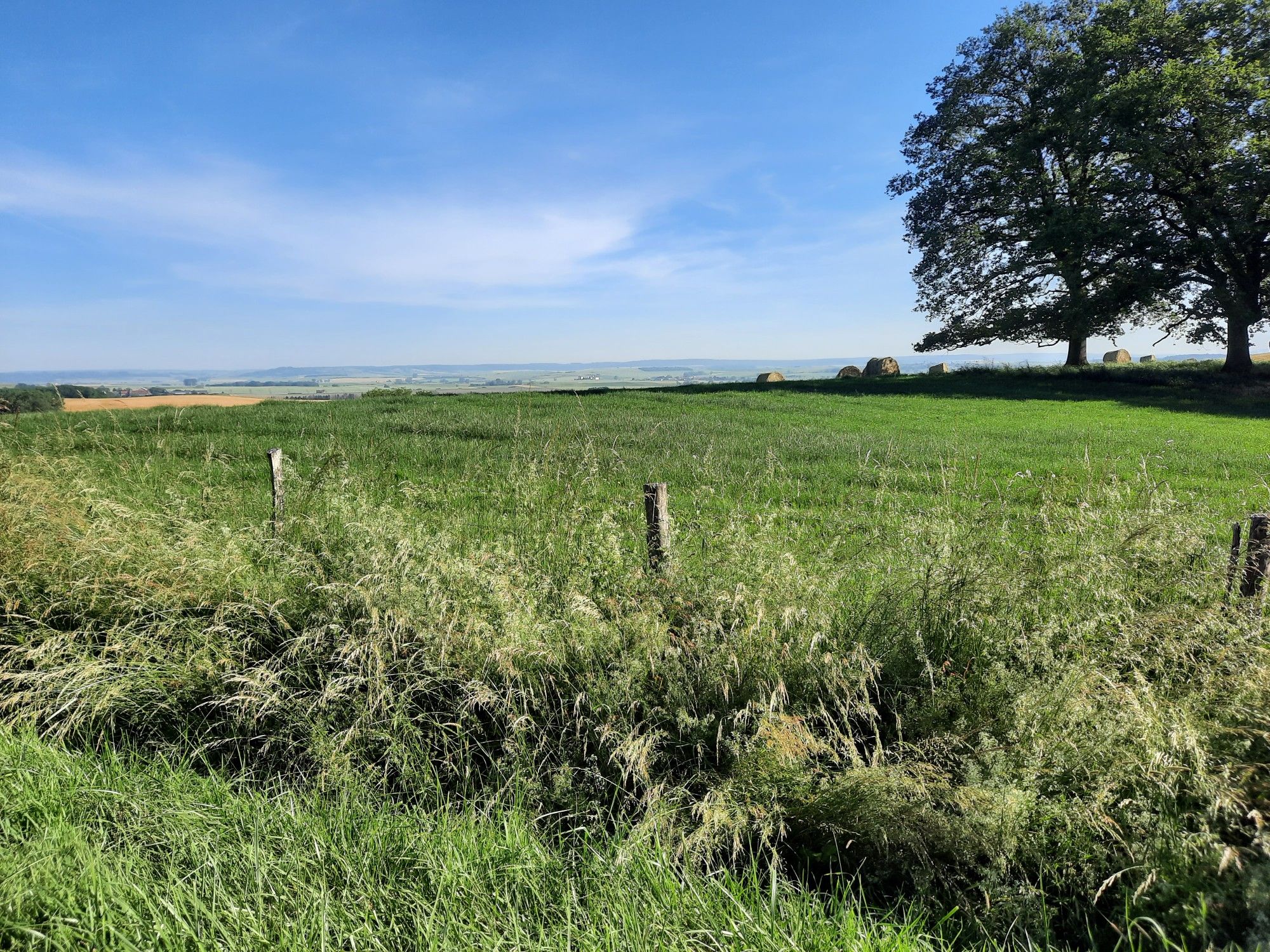 Moncourt