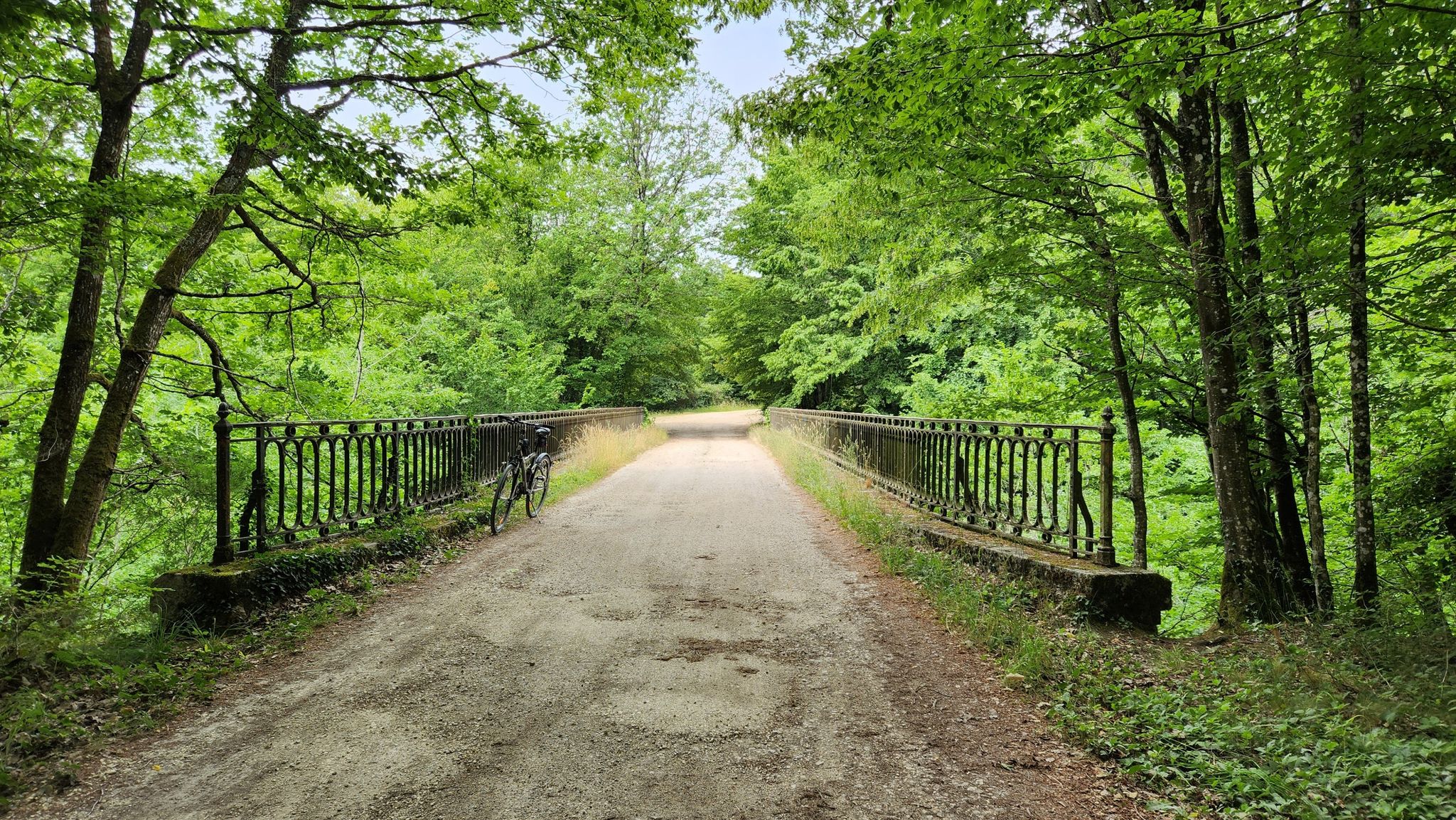 un des plus beau pont de la forêt de Senonches