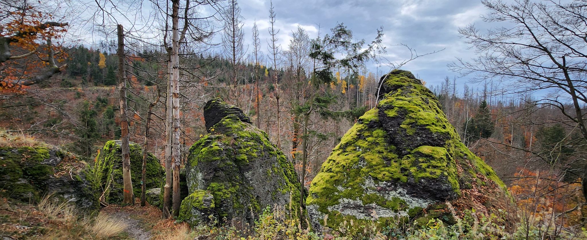 Schröderfelsen