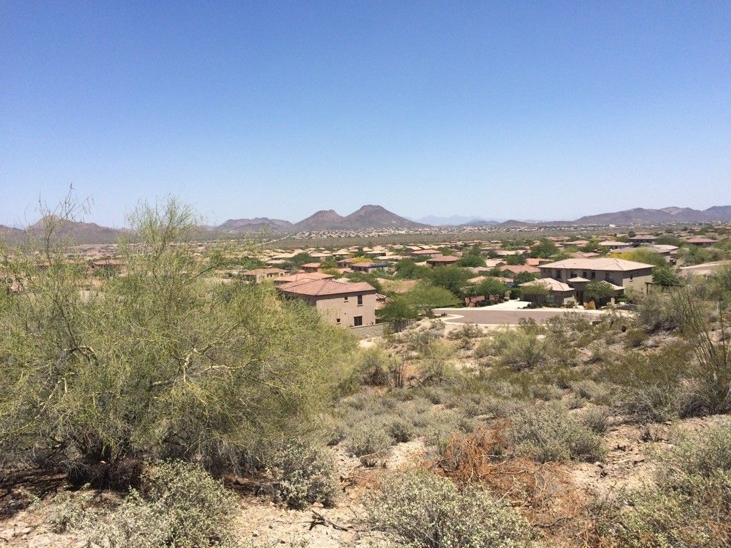 Desert brush in foreground with residential homes and distant mountains under bright sun. - Sunrise Mountain Preserve Loop