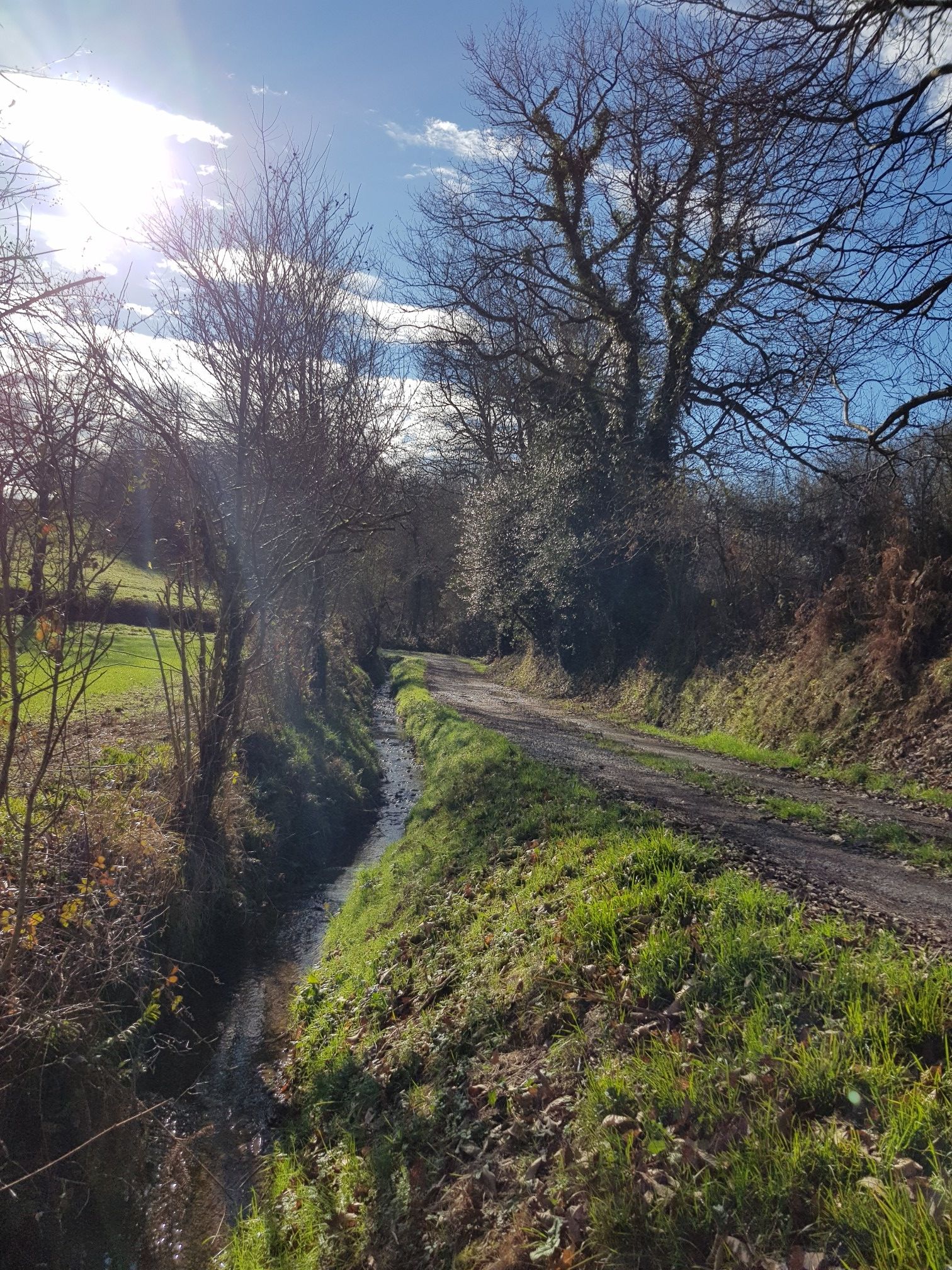 Souvenir d'un gamin tombé dans le ruisseau...