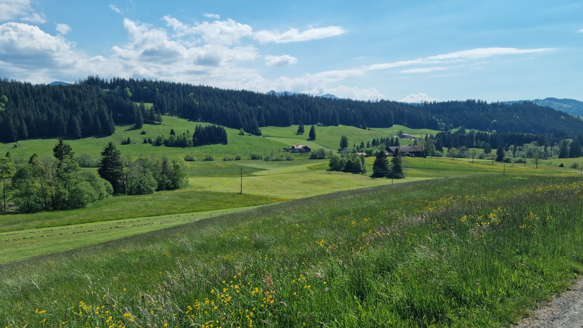 Bergstätter Str.