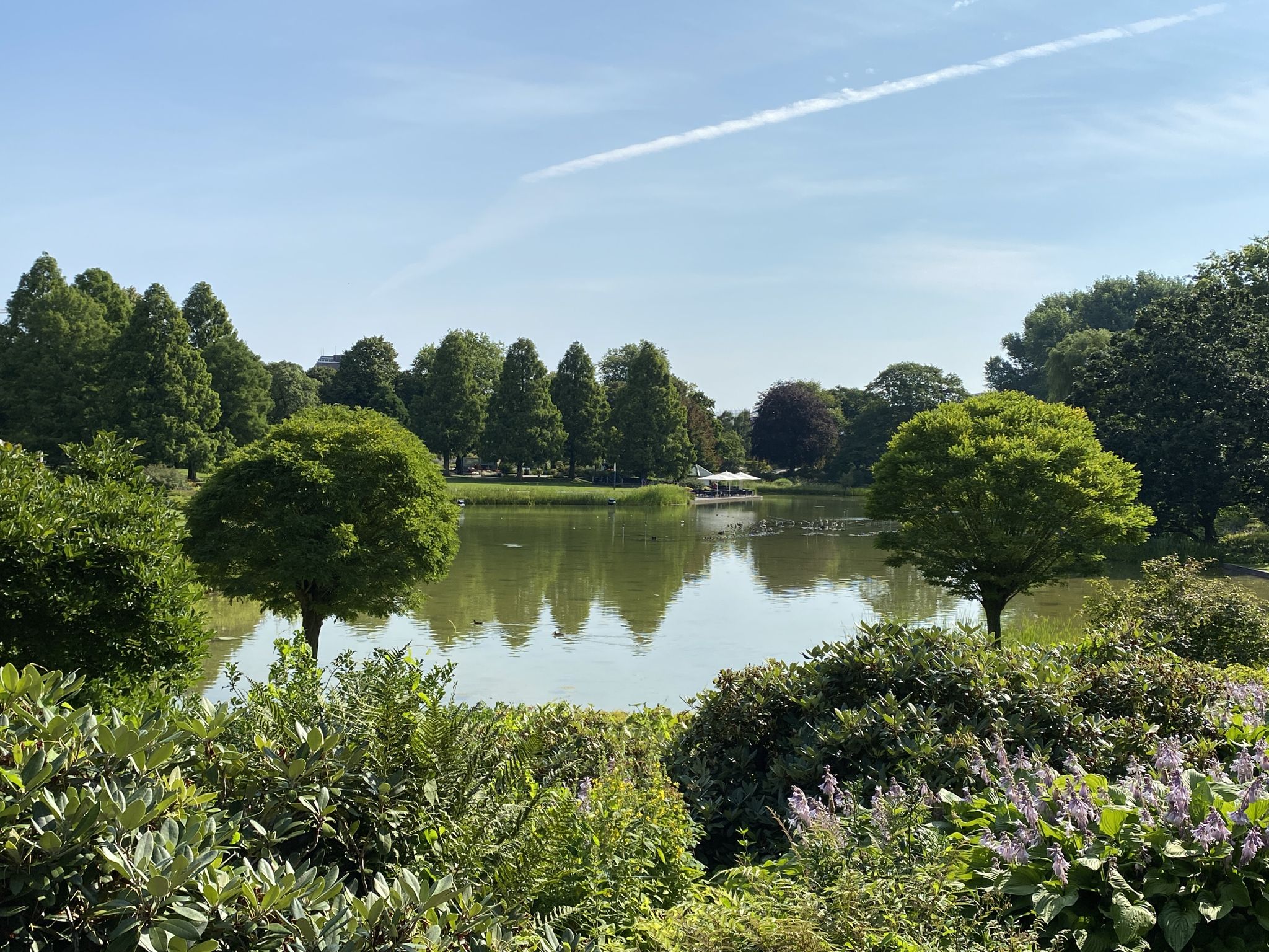 Planten un Blomen  Rosengarten, Planten un Blomen Runde von  Stadthausbrcke | Wanderung | Komoot