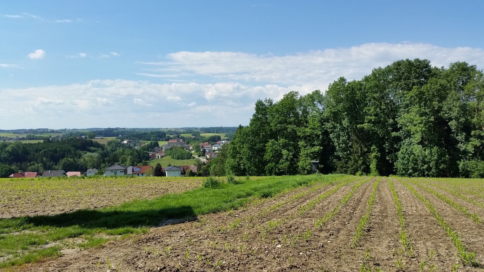 Blick nach Adlwang