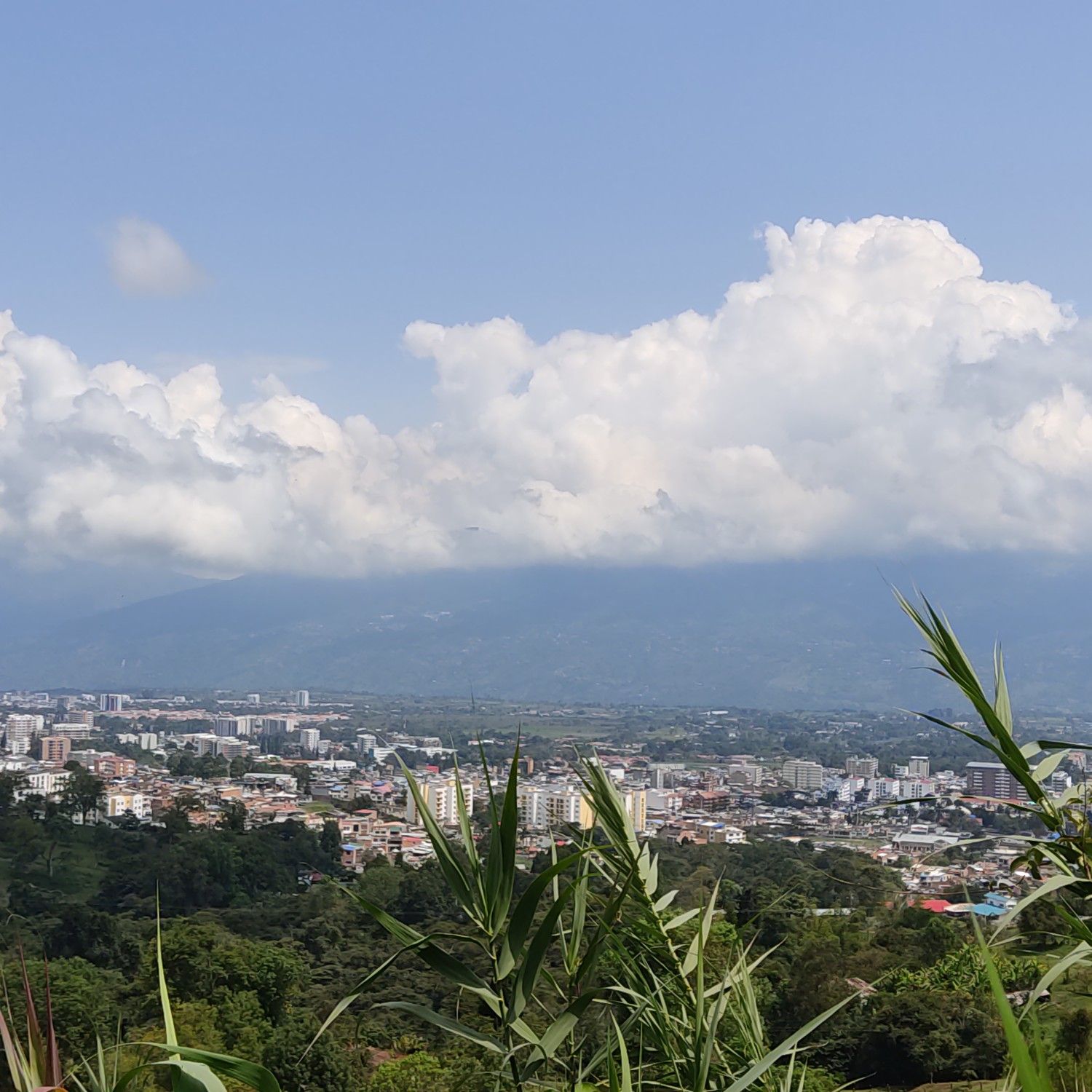 Fusagasugá