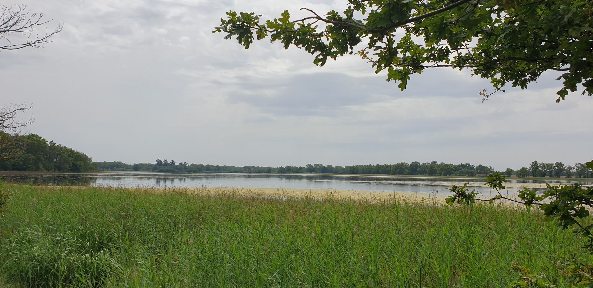 grand Birieux