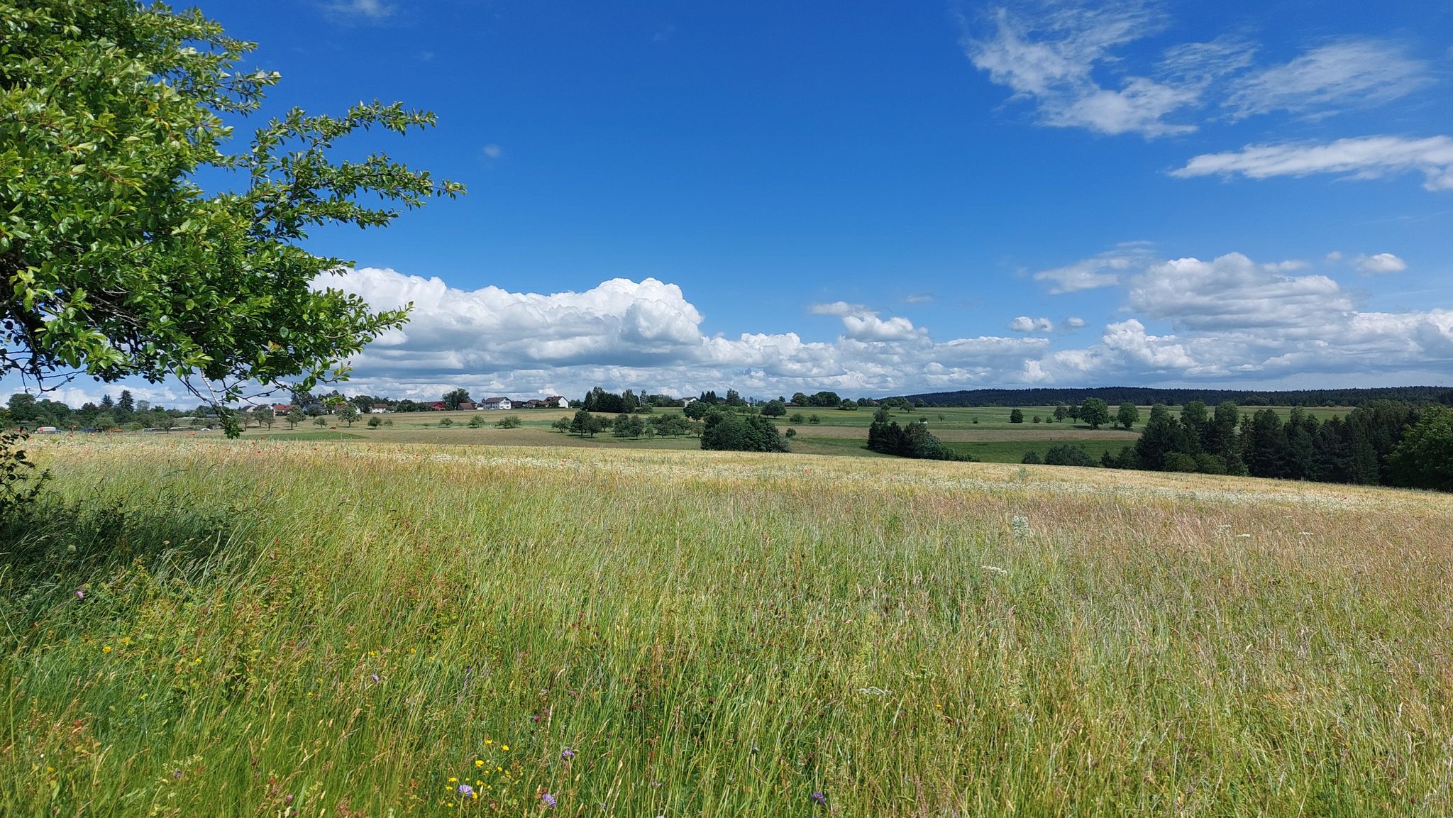 Bei Pfalzgrafenweiler