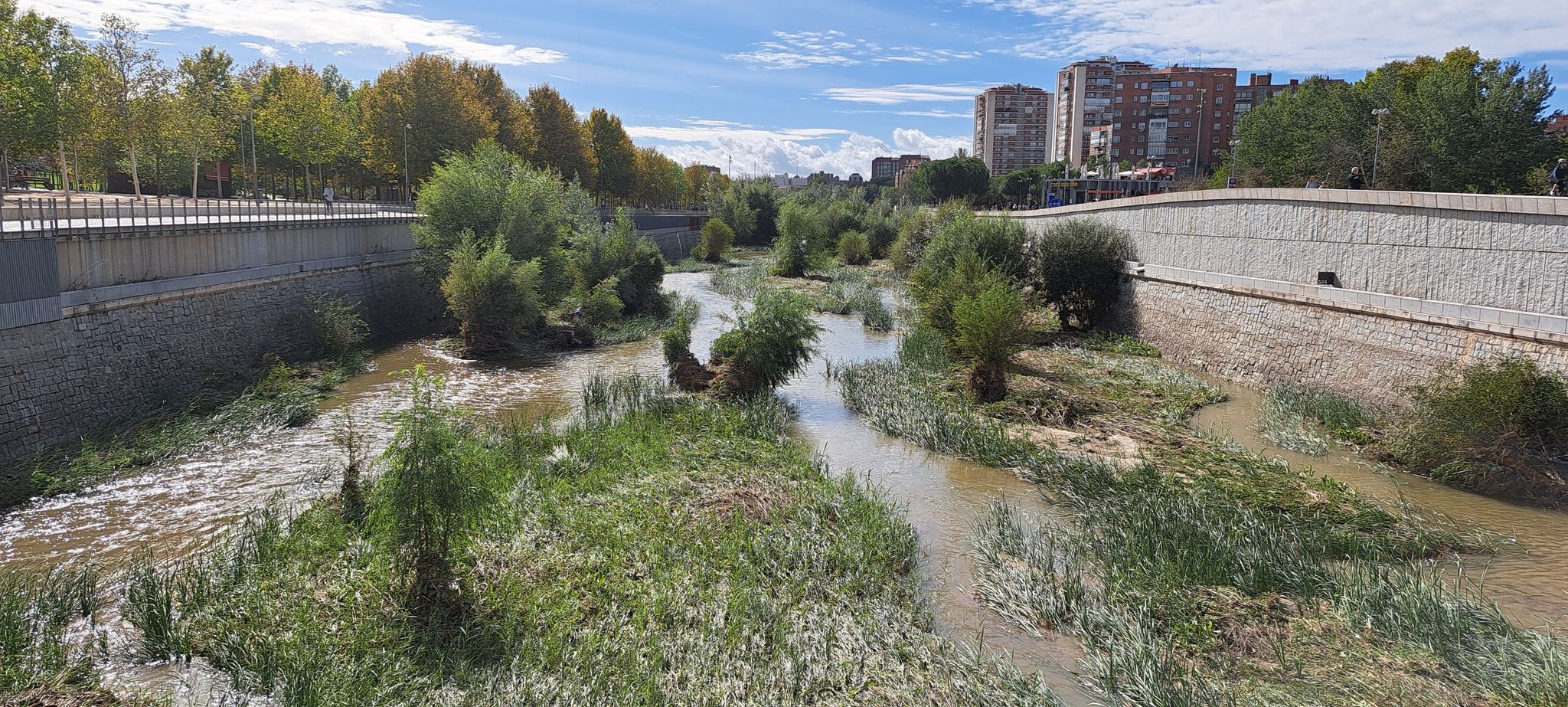 Río Manzanares.