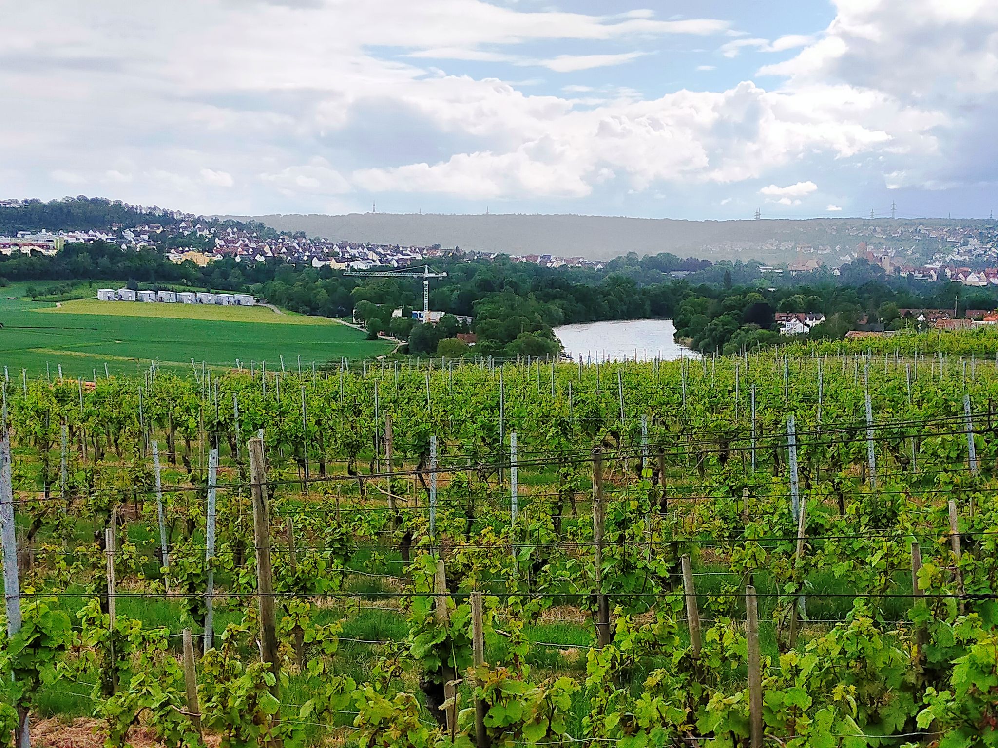Blick auf Besigheim mit Regen im Hintergrund
