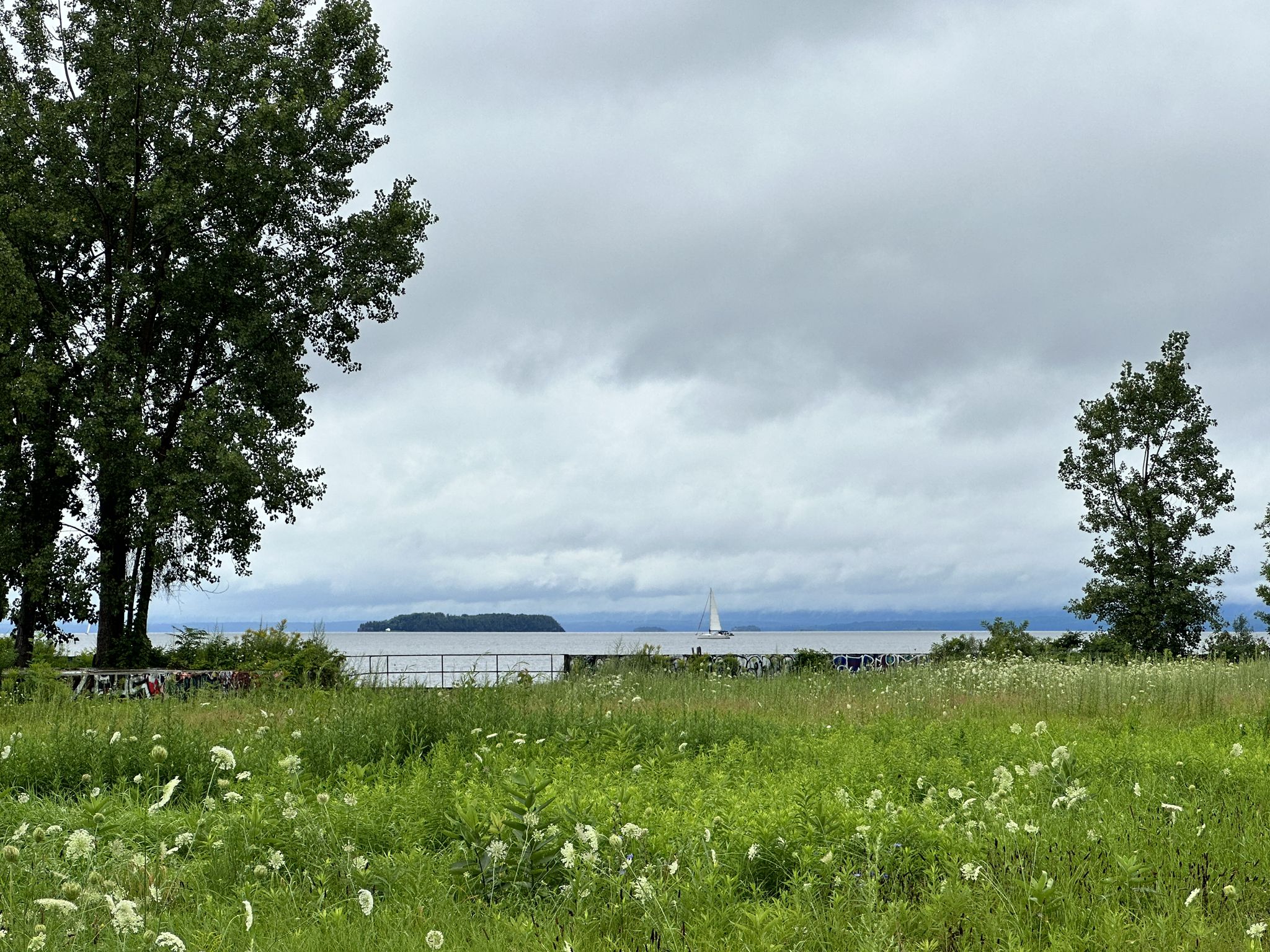 Grassy field with wildflowers, trees, a lake with a sailboat, and cloudy sky. - Waterfront Park – Granite Steps loop from South Burlington
