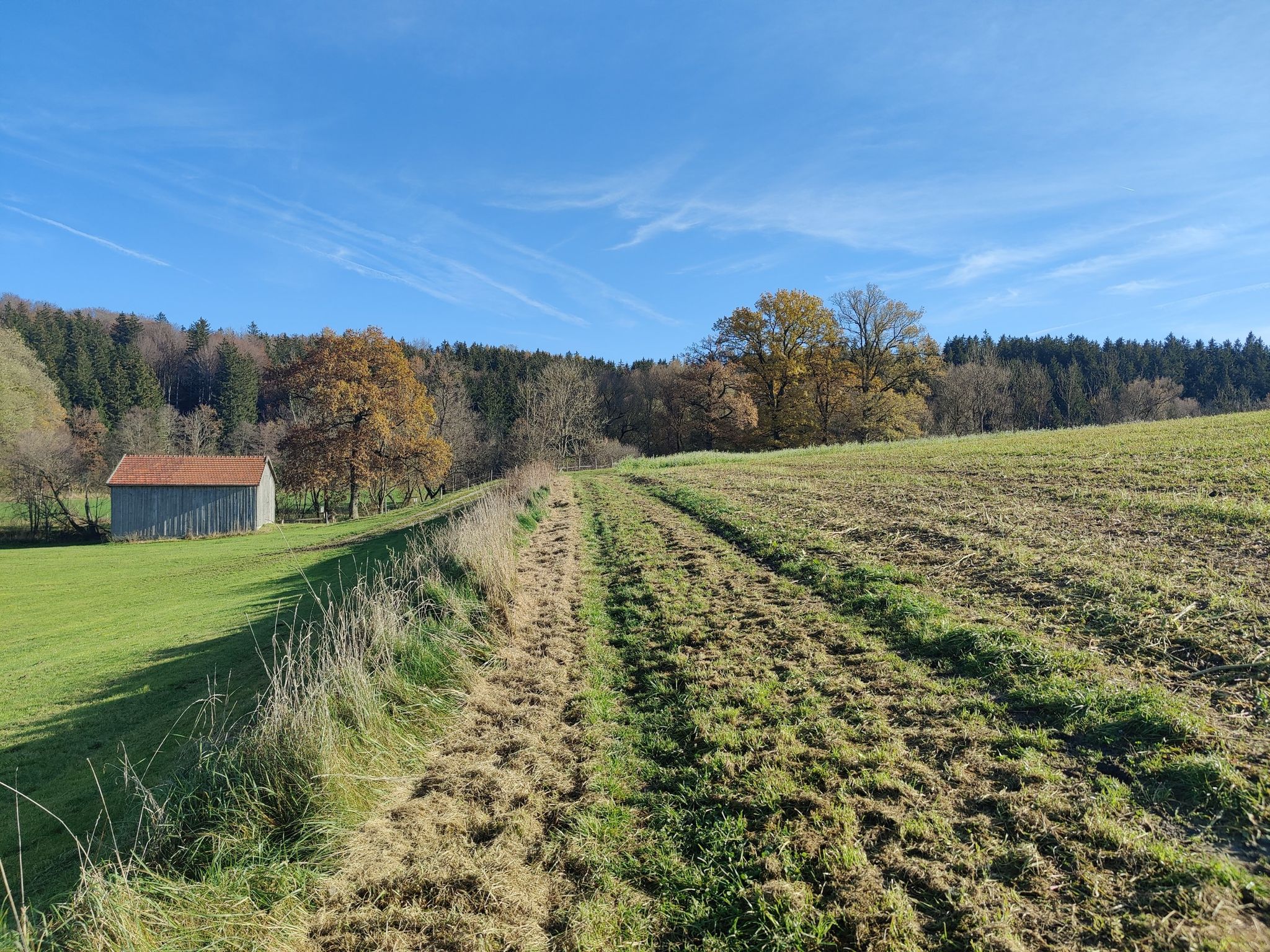 warum nicht auch mal über einen Reitweg "graveln"