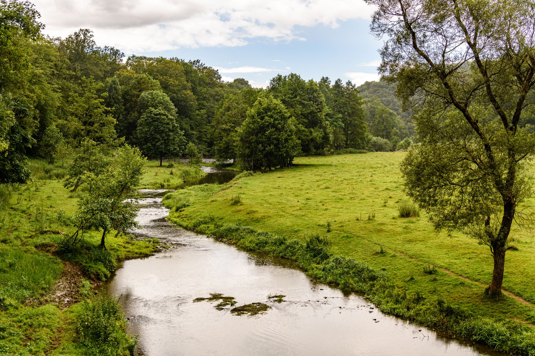 die Wied zwischen Döttesfeld und Bürdenbach-Bruch