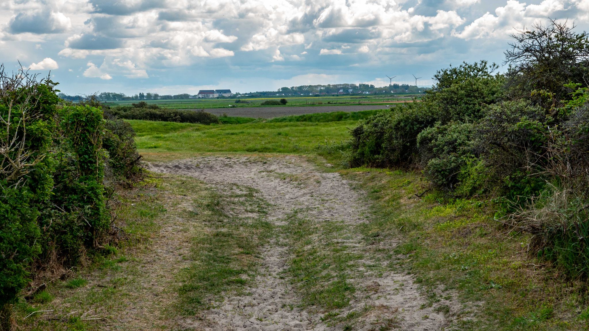 Dunes du Fort Mahon,