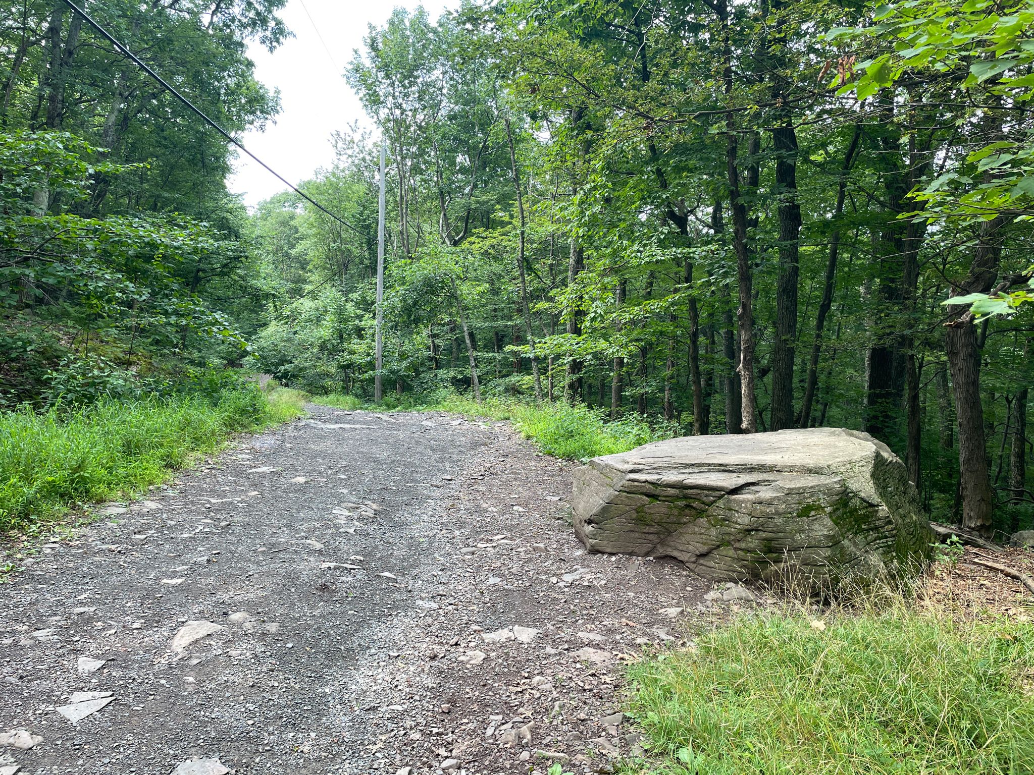 Gravel road through dense forest with a large boulder on the side. - Overlook Spur Trail