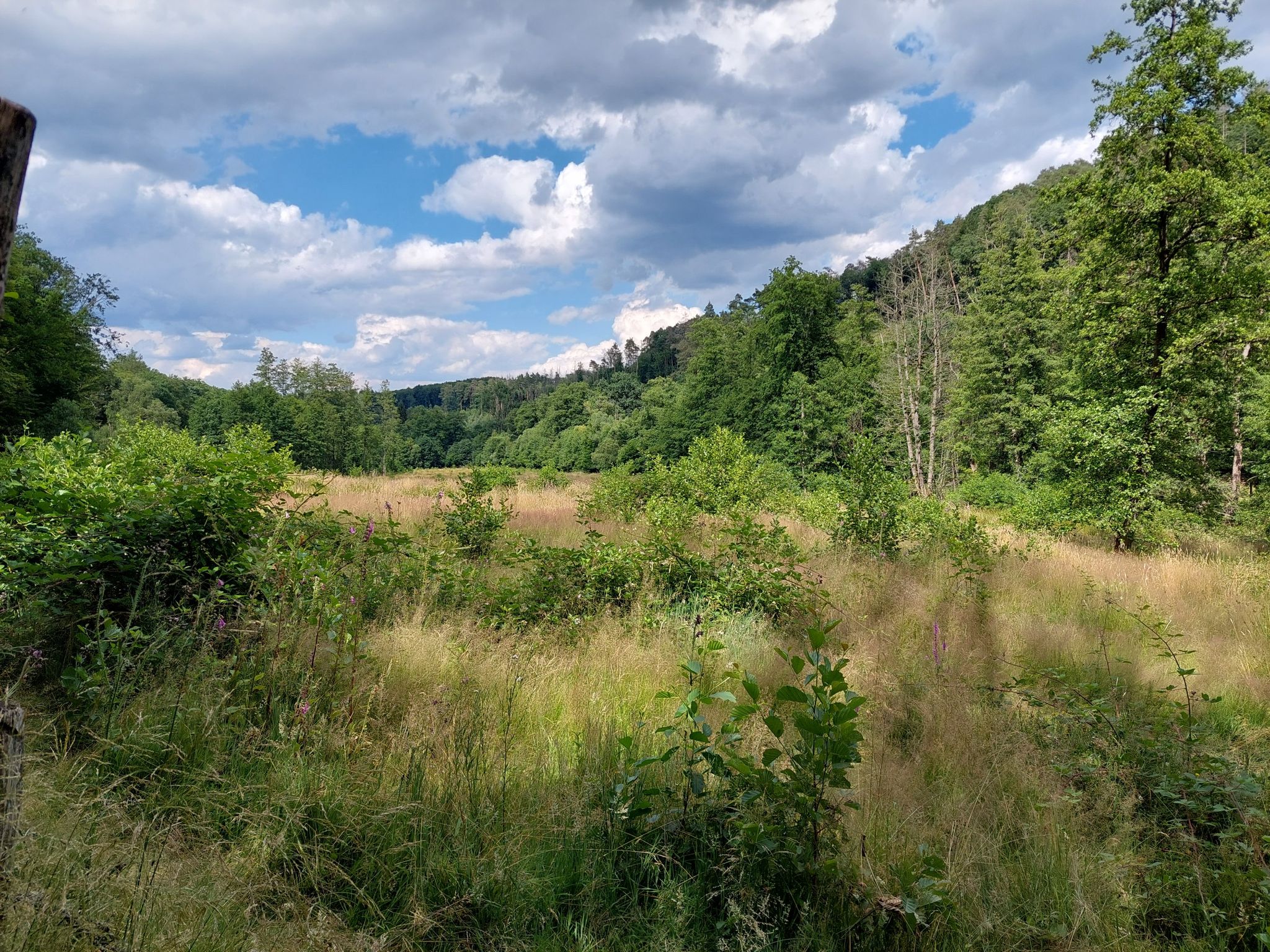 das geliebte Grenzbachtal
