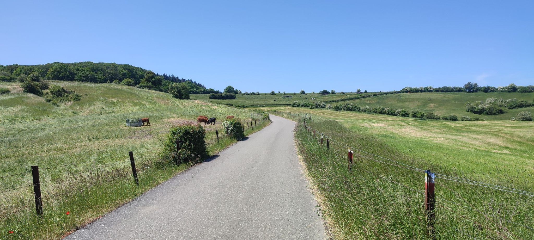 schöne Landschaft