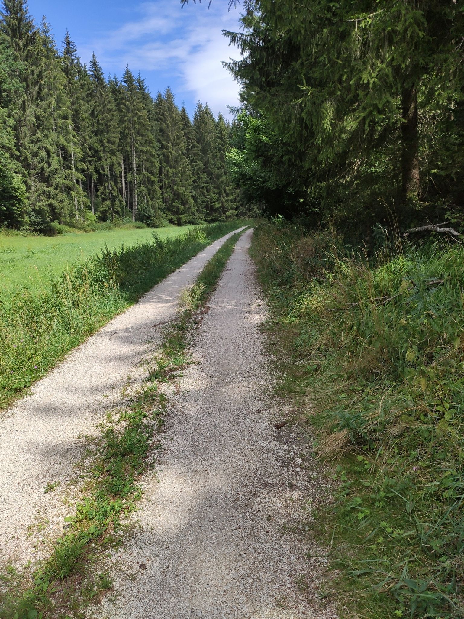 Vogel Tal