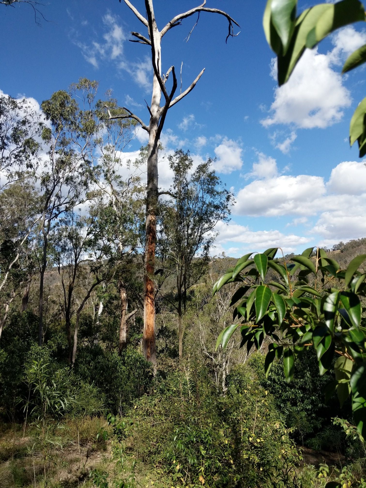 view across valley