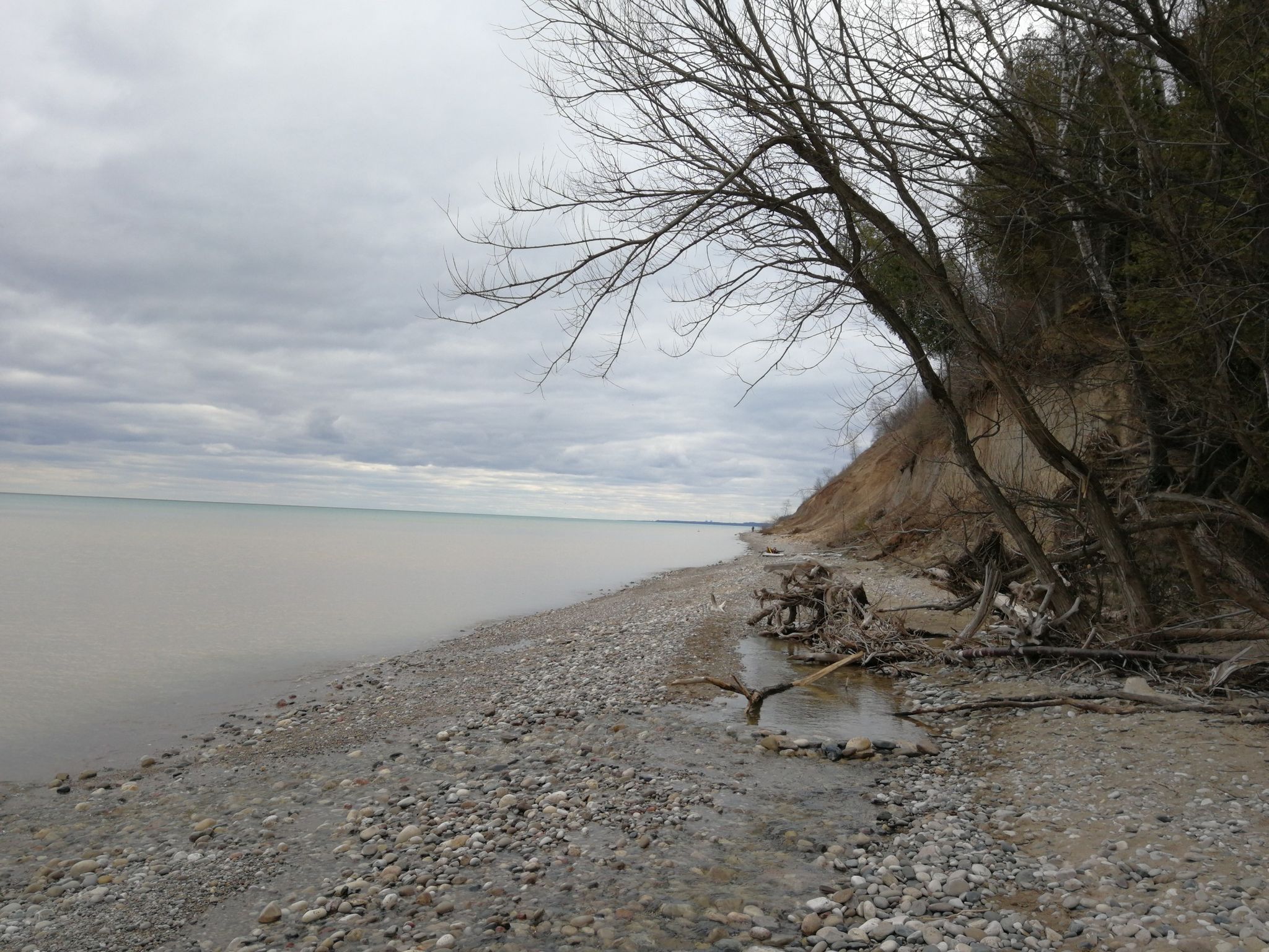 Overcast view of a rocky beach with calm water and bare trees. - Lion's Den Trail Loop