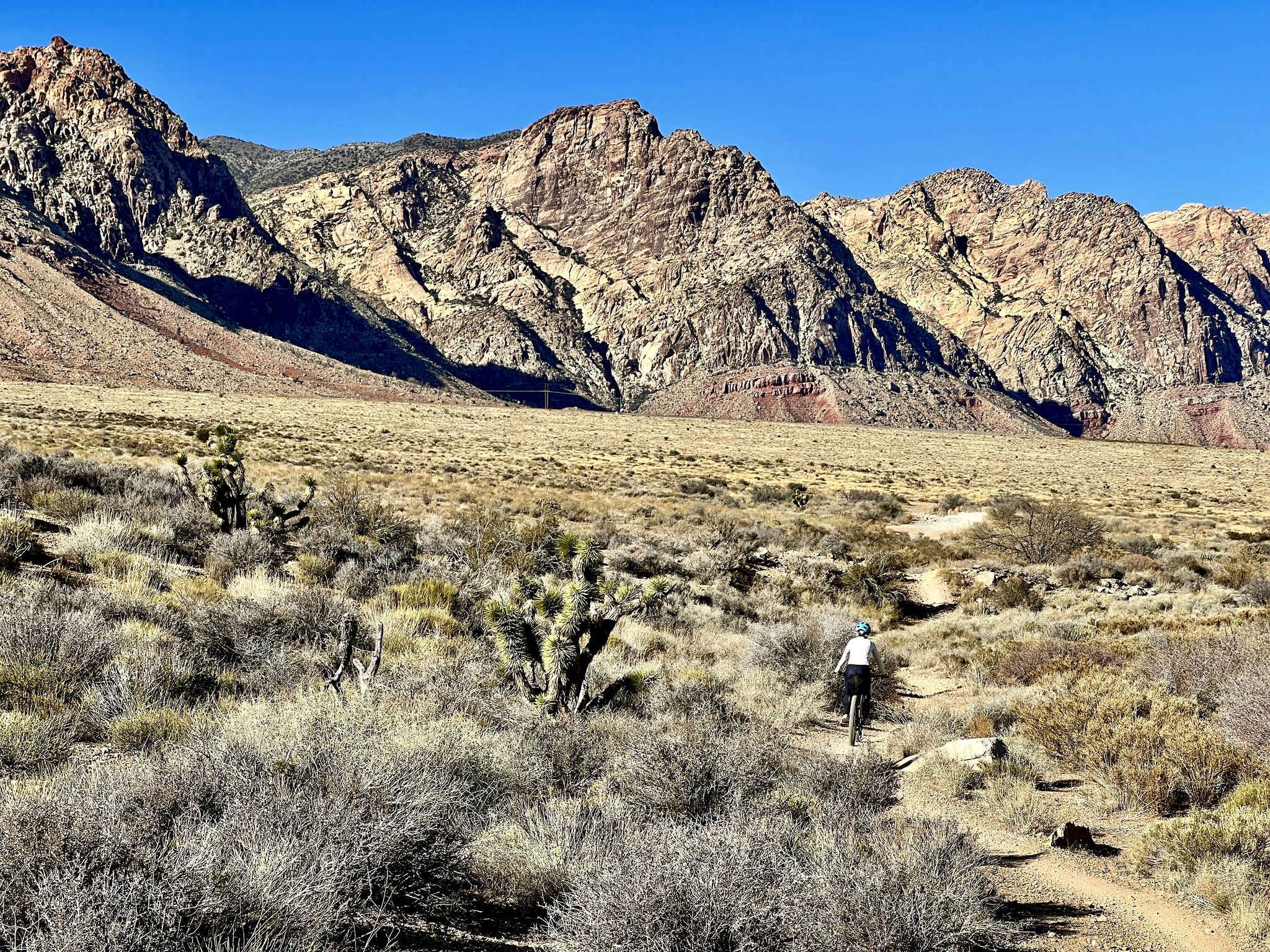 A person mountain biking on a desert trail with large mountains under a clear sky. - Badger Pass Loop