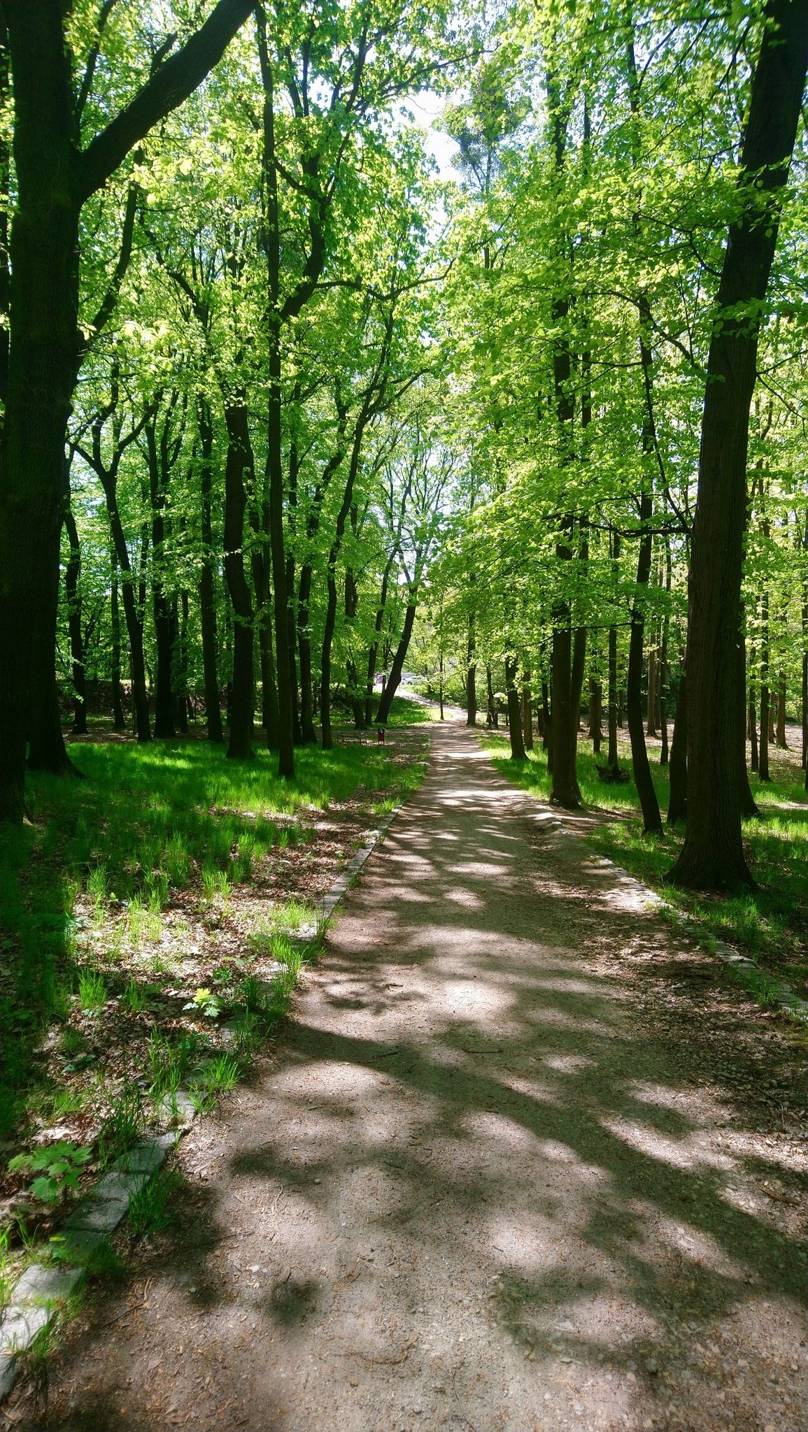 Park Hazynhajda(Hasenheide) von Gründer Hase, ein lokaler filantrop aus vorkriegszeit...