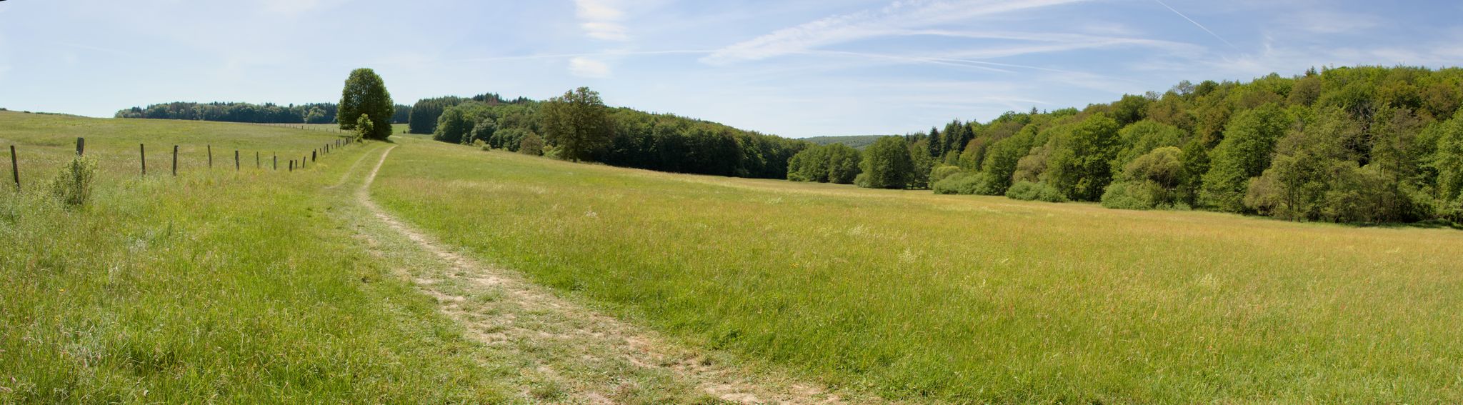 NSG Dattenbachtal
