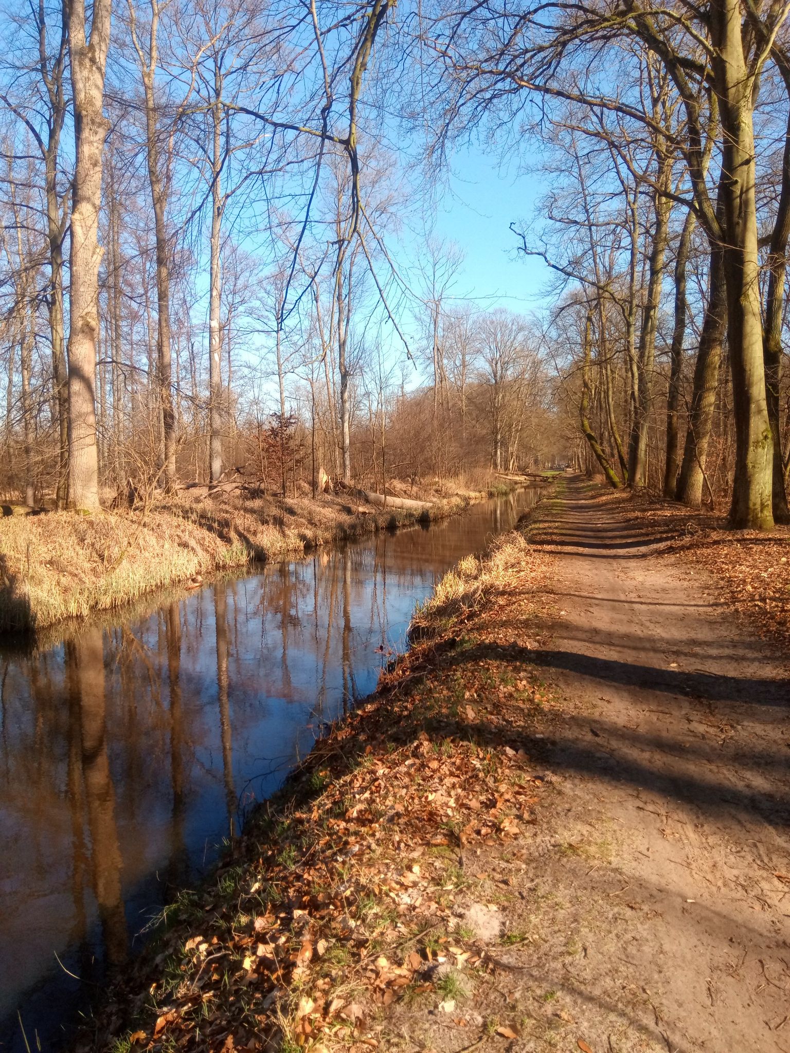 am Neuen Kanal