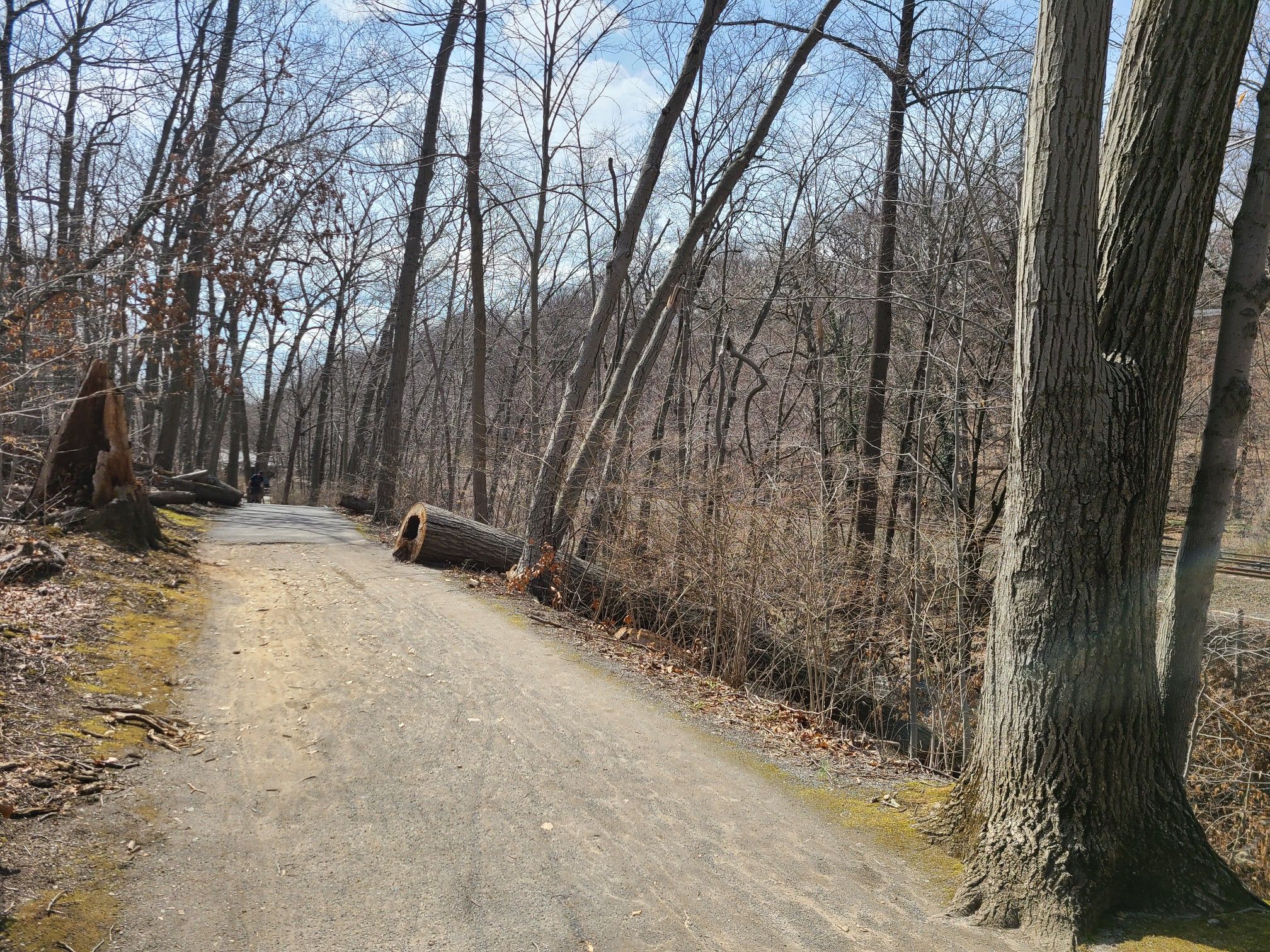 Dirt path winding through a bare winter forest with a fallen log. - Bronx River Pathway – Bronx River Pathway loop from White Plains