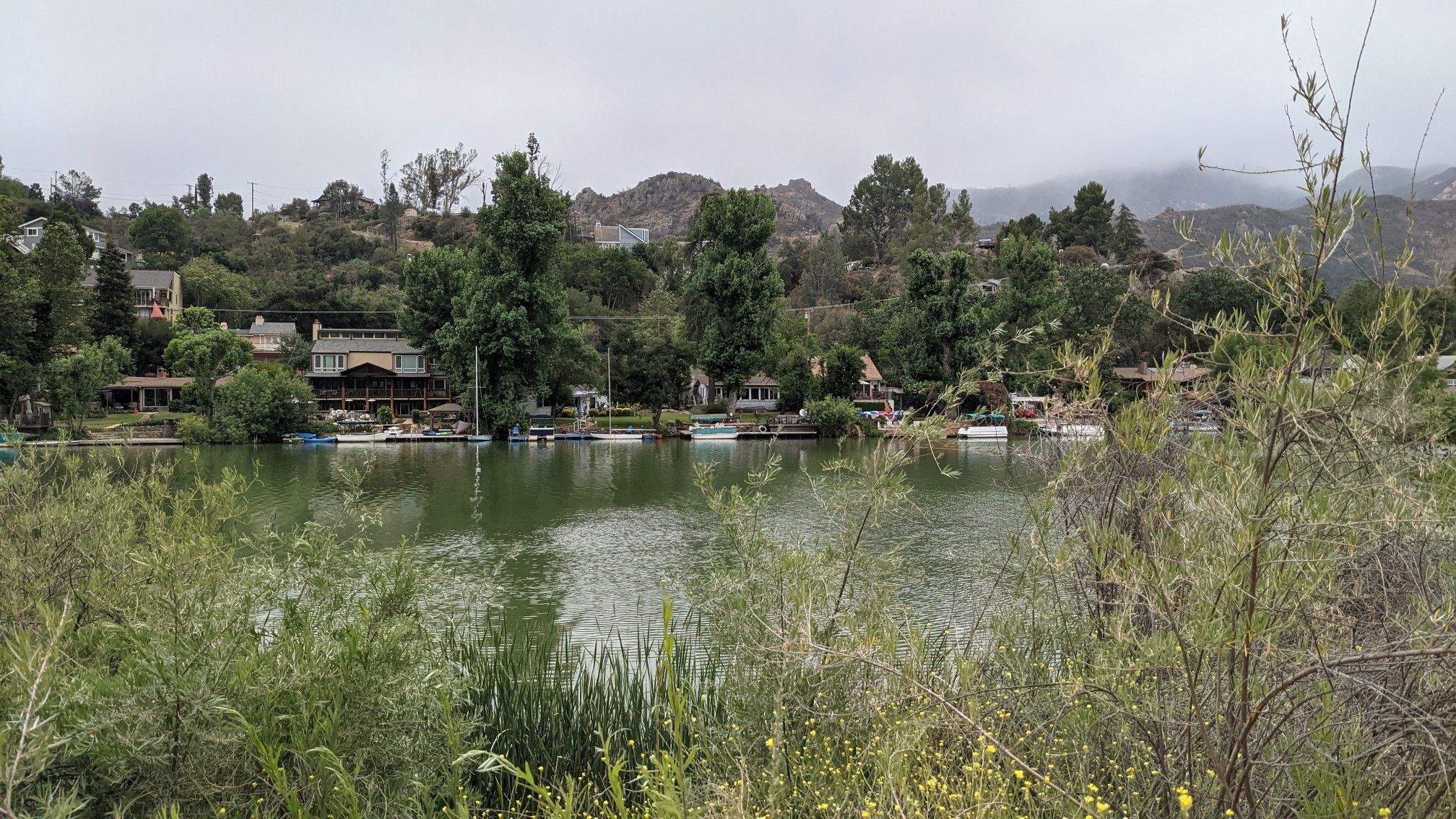 Green lake with houses and lush trees on the shore under an overcast sky. - Malibou Lake – La Sierra Preserve loop from Westlake Village