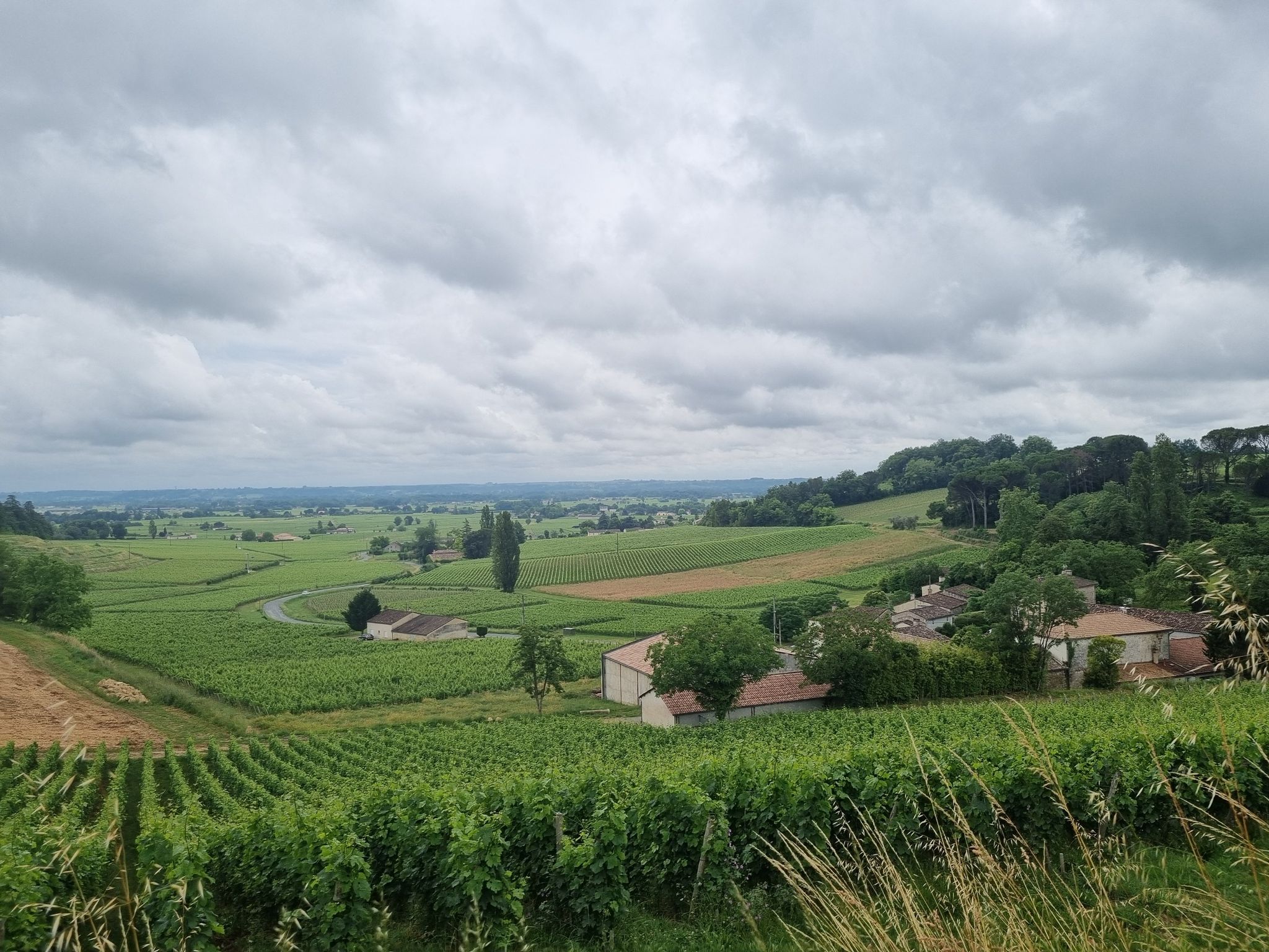 Les Vignobles de Saint-Emillon