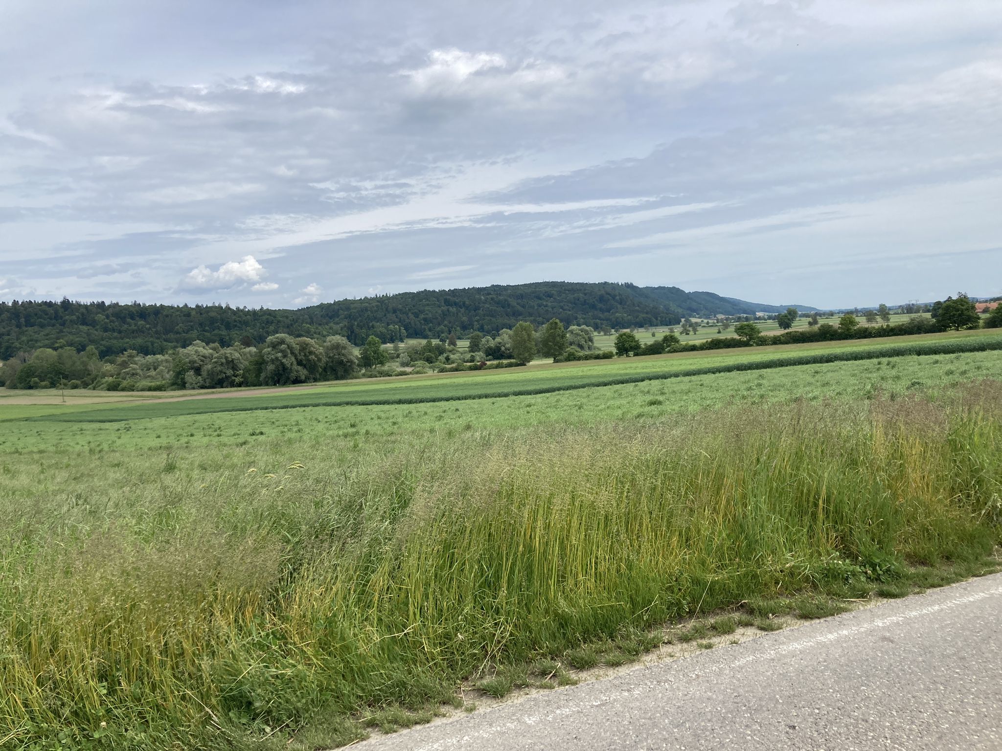 Das Limpachtal...