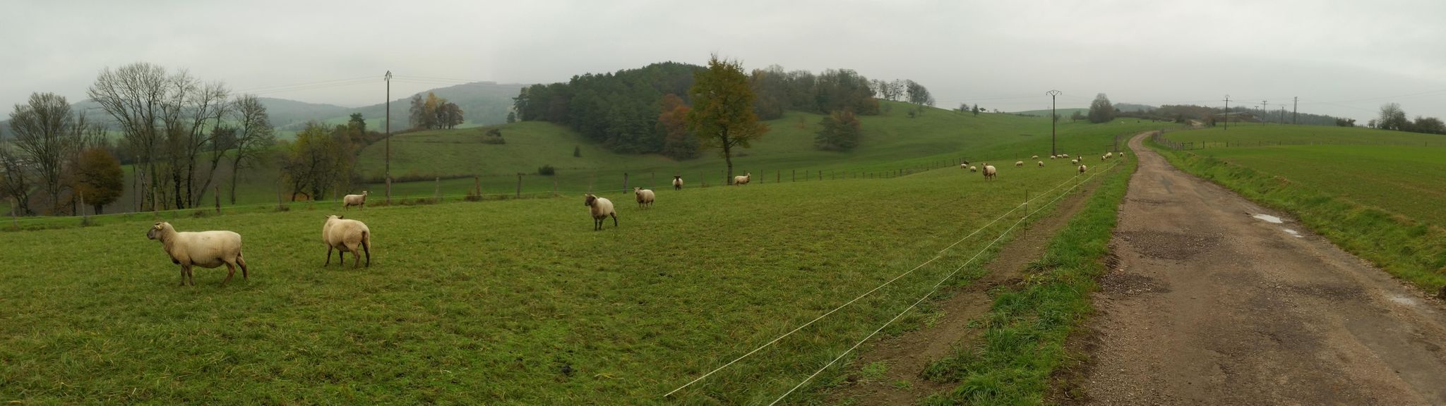 schöner Wegabschnitt
