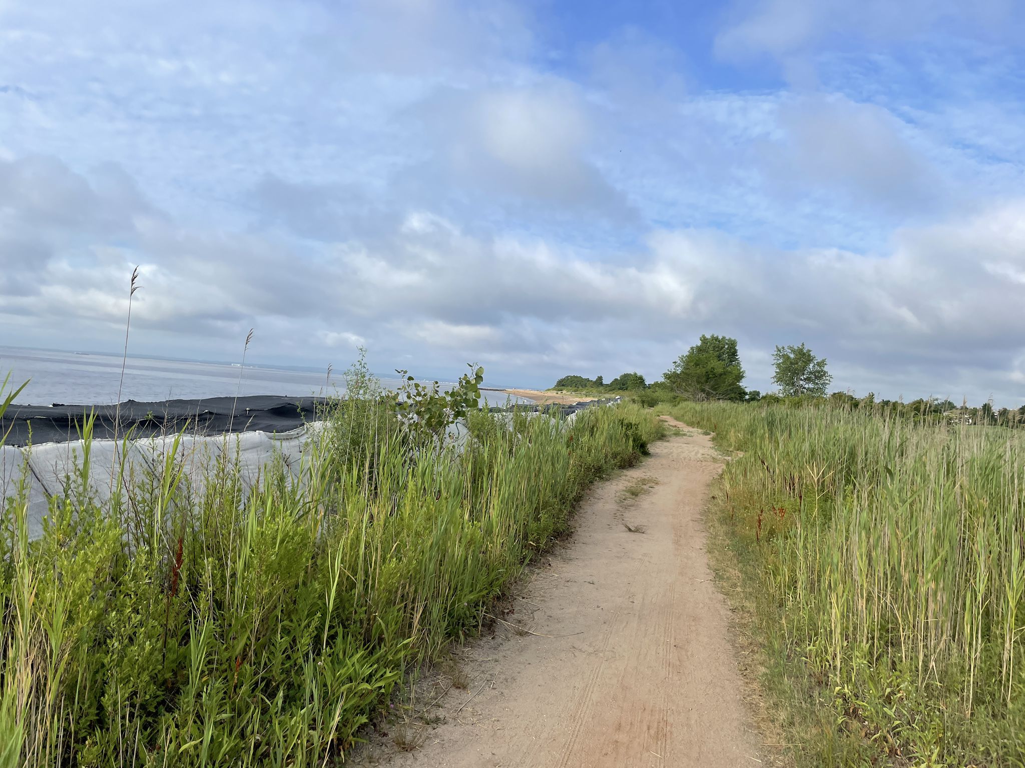 A dirt path through tall grass next to water under a cloudy sky. - Staten Island loop