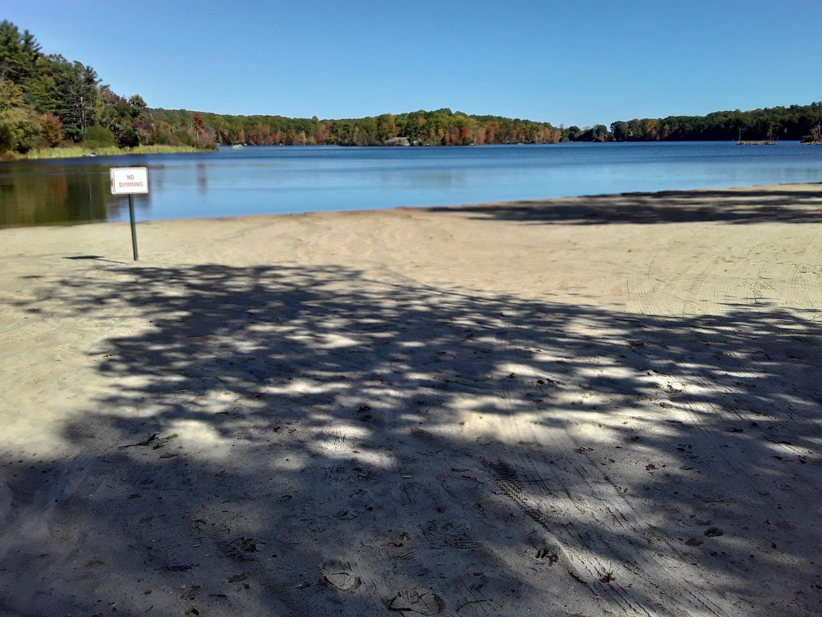 Sunny beach with calm lake and distant forest under a clear sky. - Olney Pond via Les Parson loop