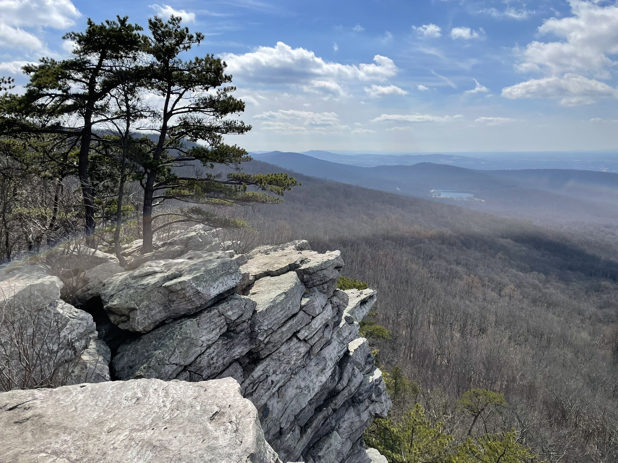 Jagged rocks and pine trees on a cliff overlooking hazy, forested mountains. - Appalachian Trail to Annapolis Rock