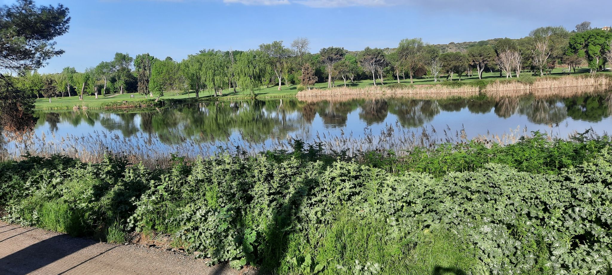 Campo Golf Urb. El Bosque