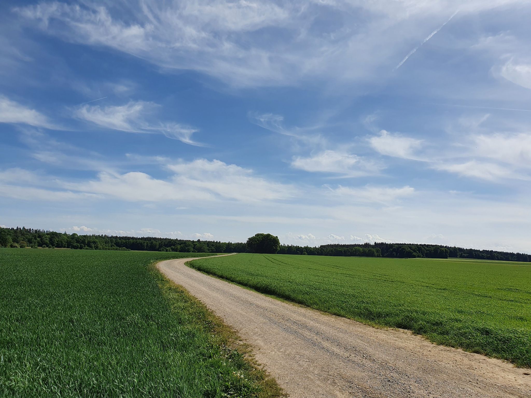Im Outback von Germering