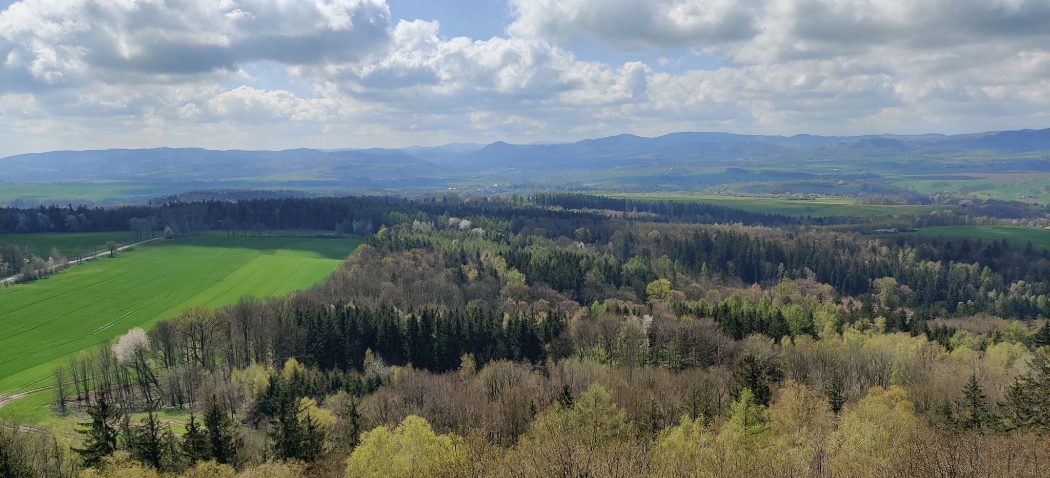 Wieza widokowa