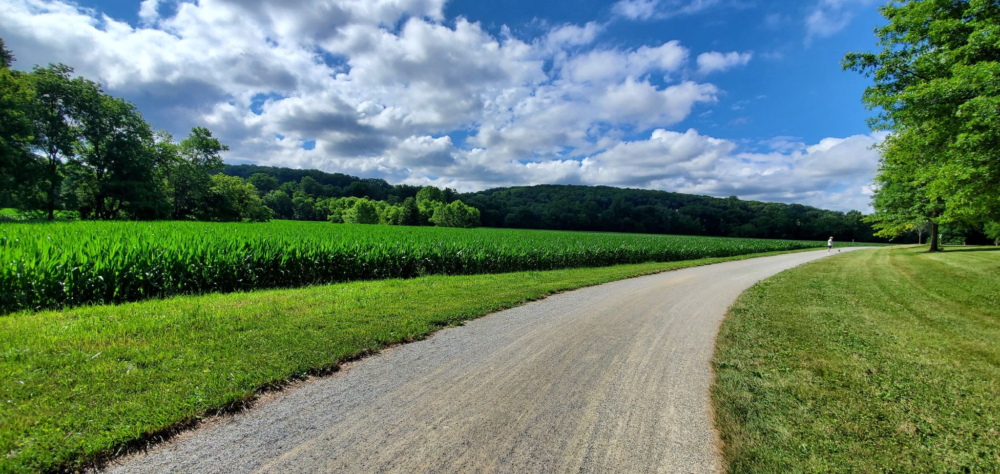 Gravel path next to a cornfield under a partly cloudy blue sky. - Howard Tunnel – Monkton Train Station loop from Glencoe