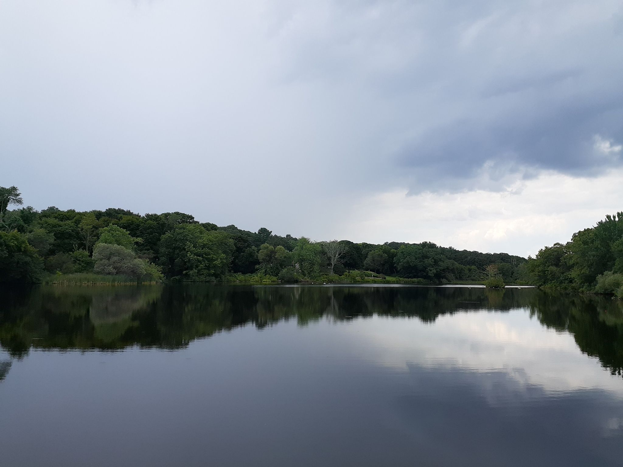 Calm lake reflecting dark, cloudy skies and dense green trees. - Upper Charles Trail