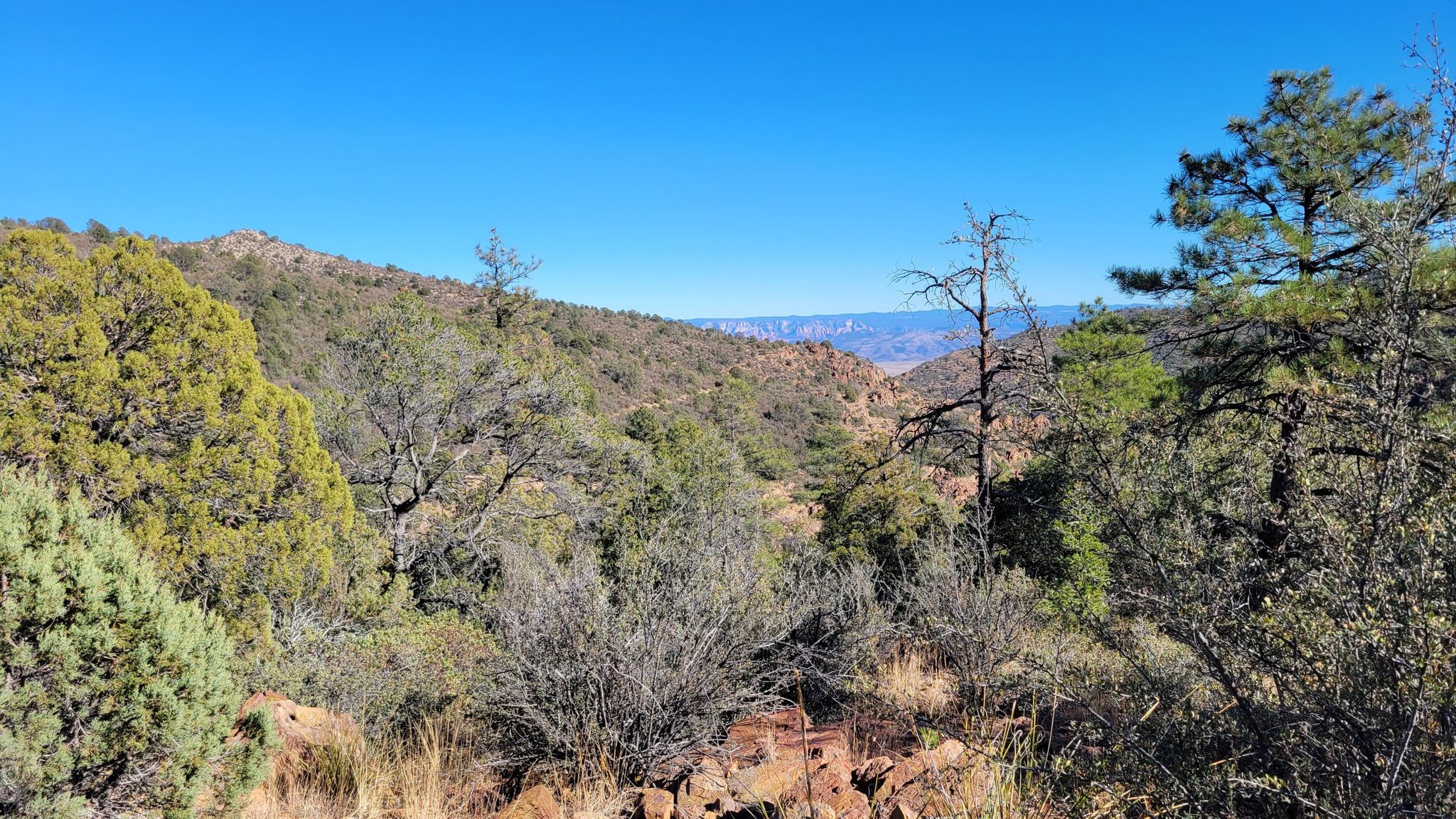 Sunny mountainous landscape with green trees and shrubs under a clear blue sky. - North Mingus Trail #105